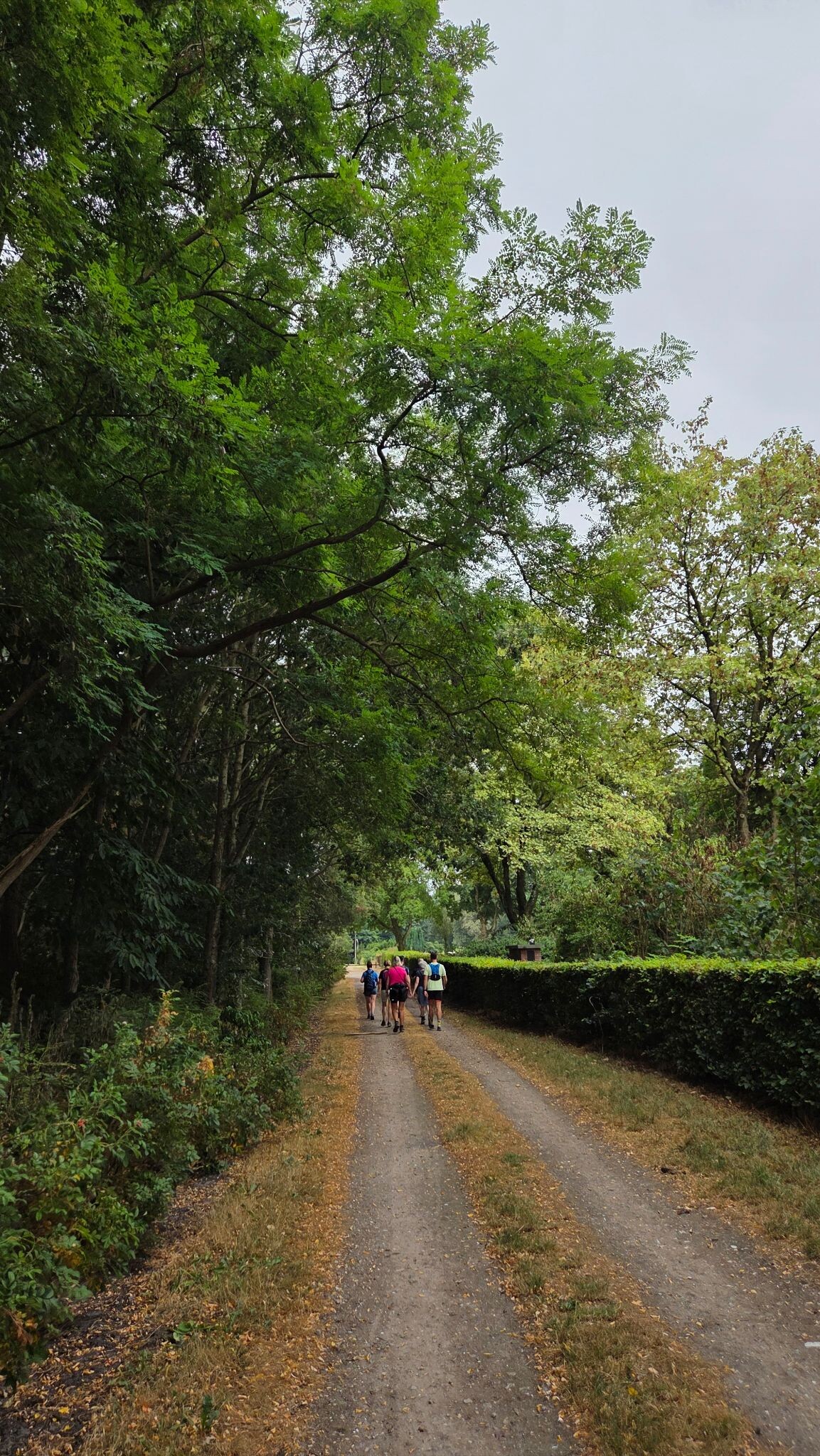 Etappe 23 van Cultuurpad Coevorden