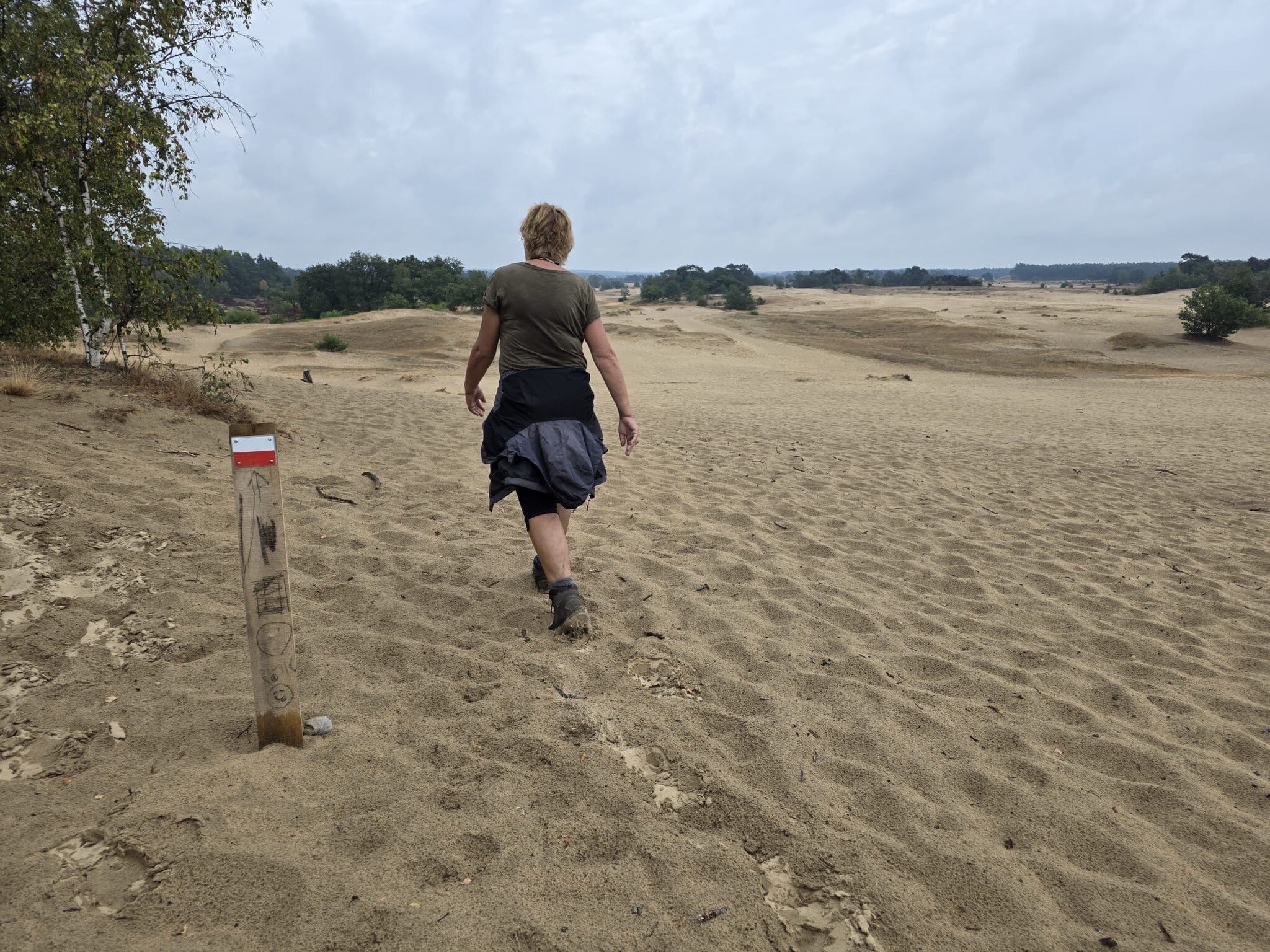 Kootwijk - Veenhuizerveld · Marskramerpad etappe 11