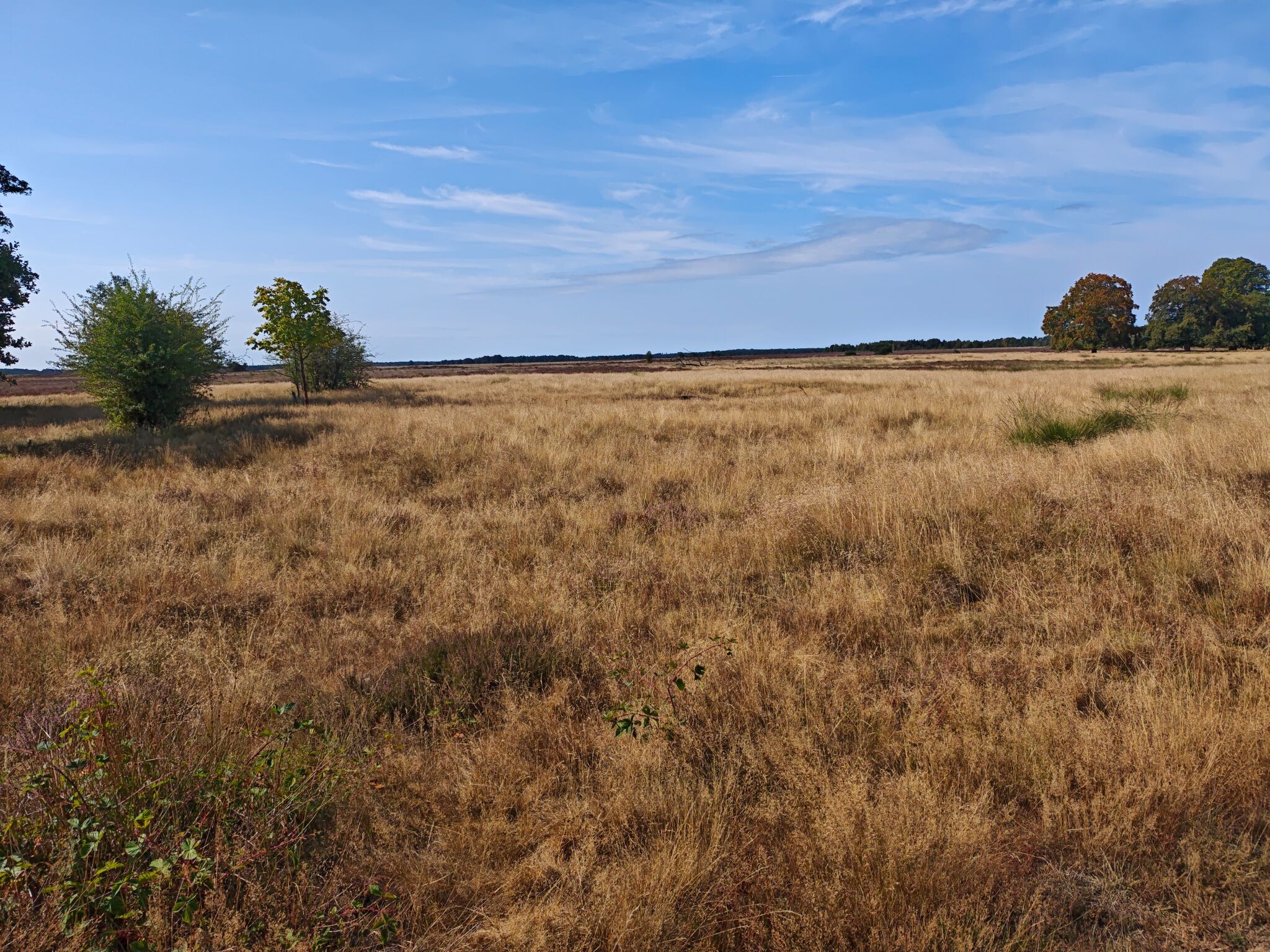 Hoenderloo - Schaarsbergen (Doorsteek 6) · Veluwe Zwerfpad etappe 25