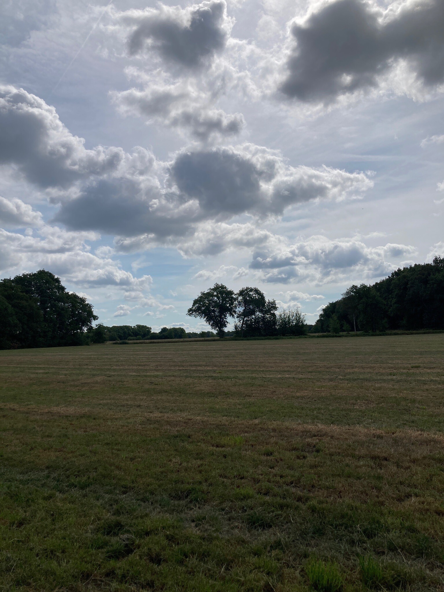 Blesdijke