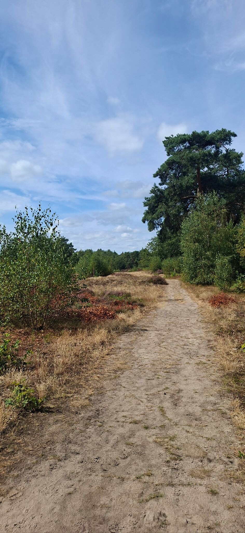 Leusden