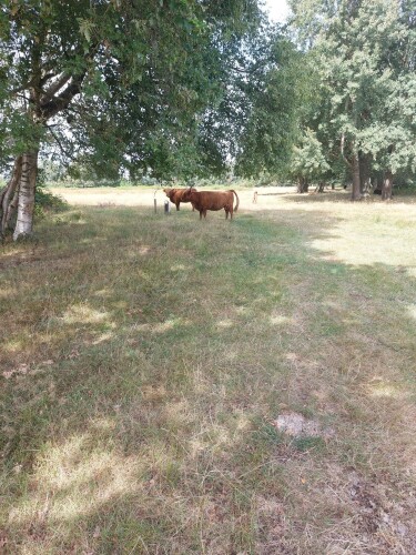 Wandelroute Eexterveld