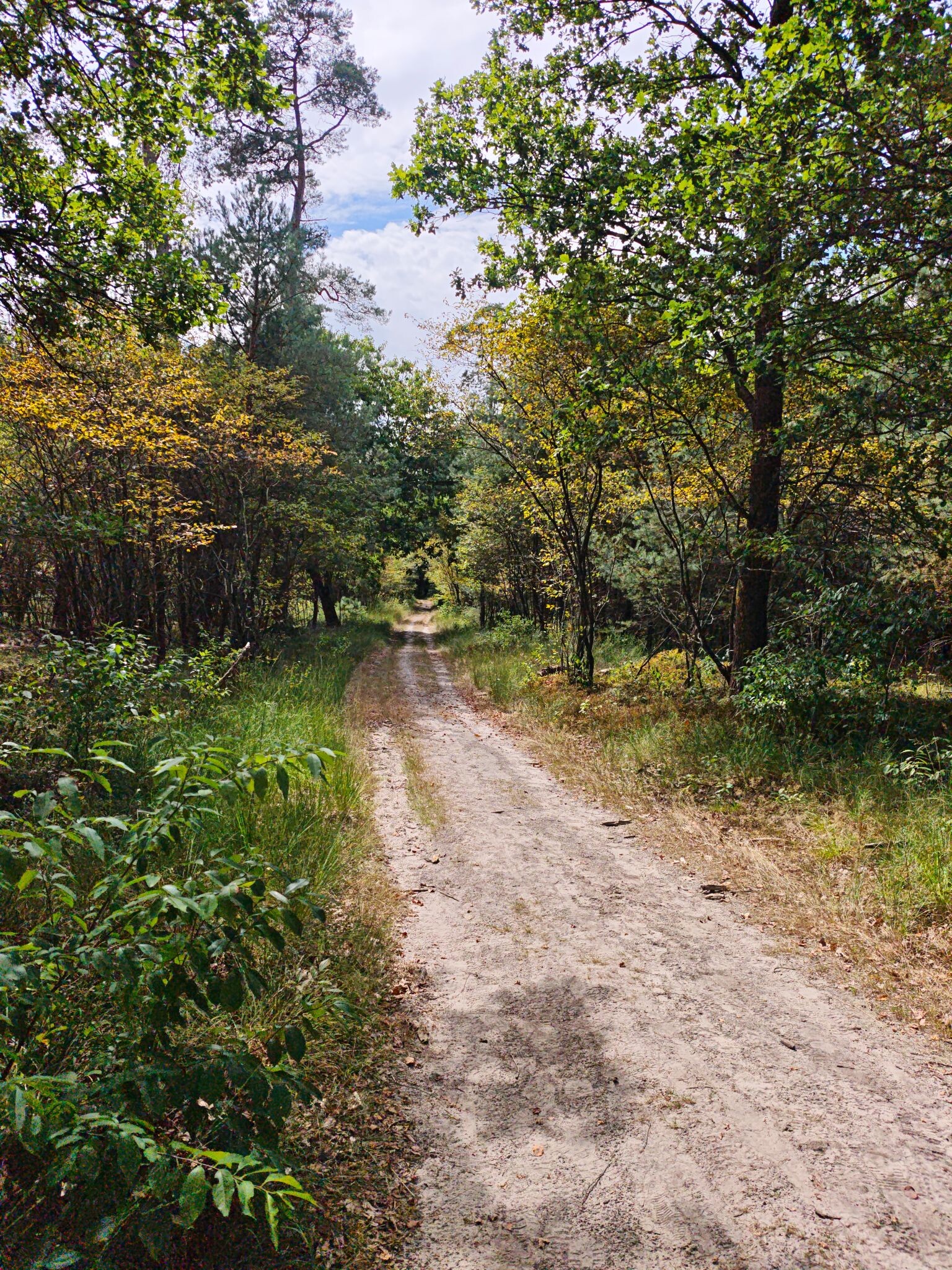 De Hoge Veluwe