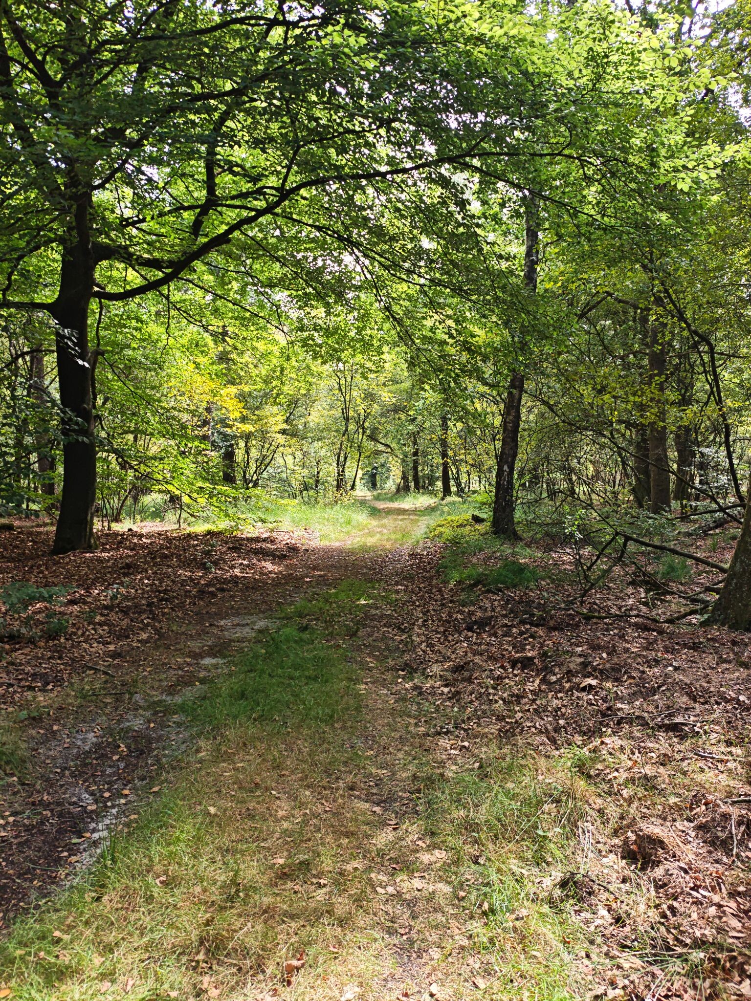 De Hoge Veluwe