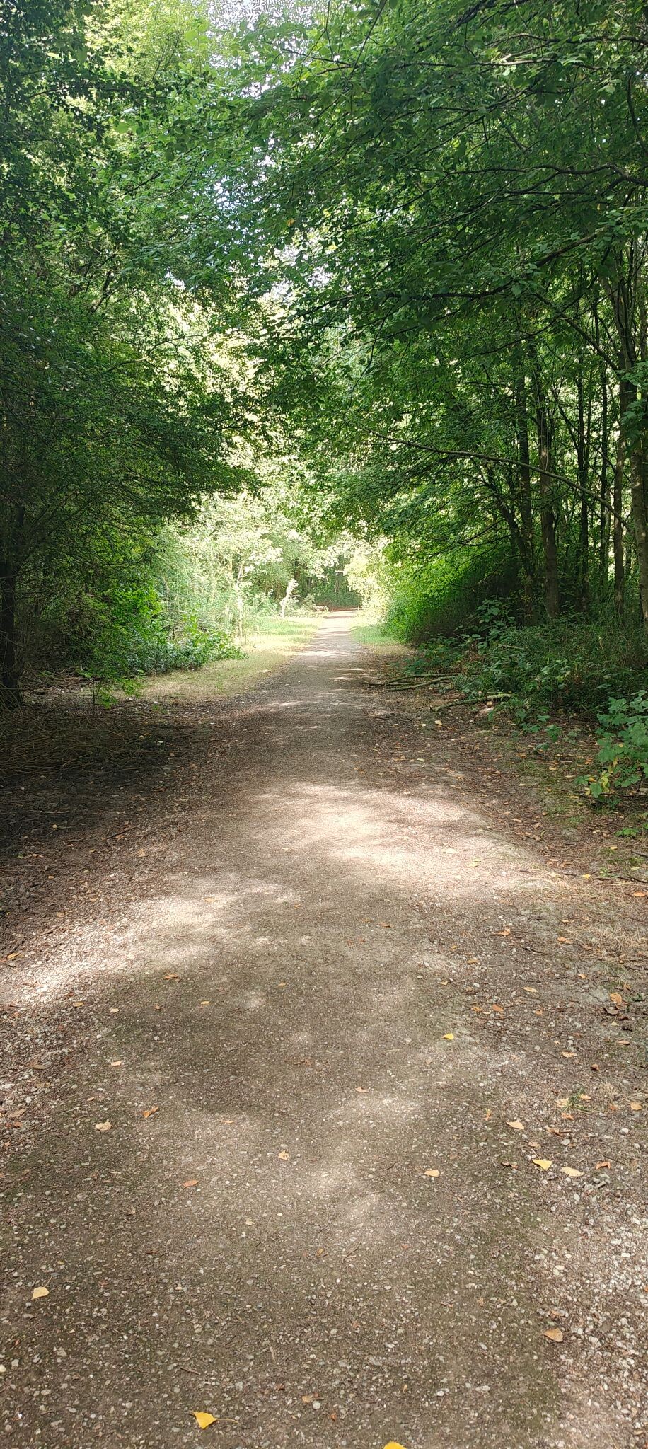 Nieuw-Vennep
