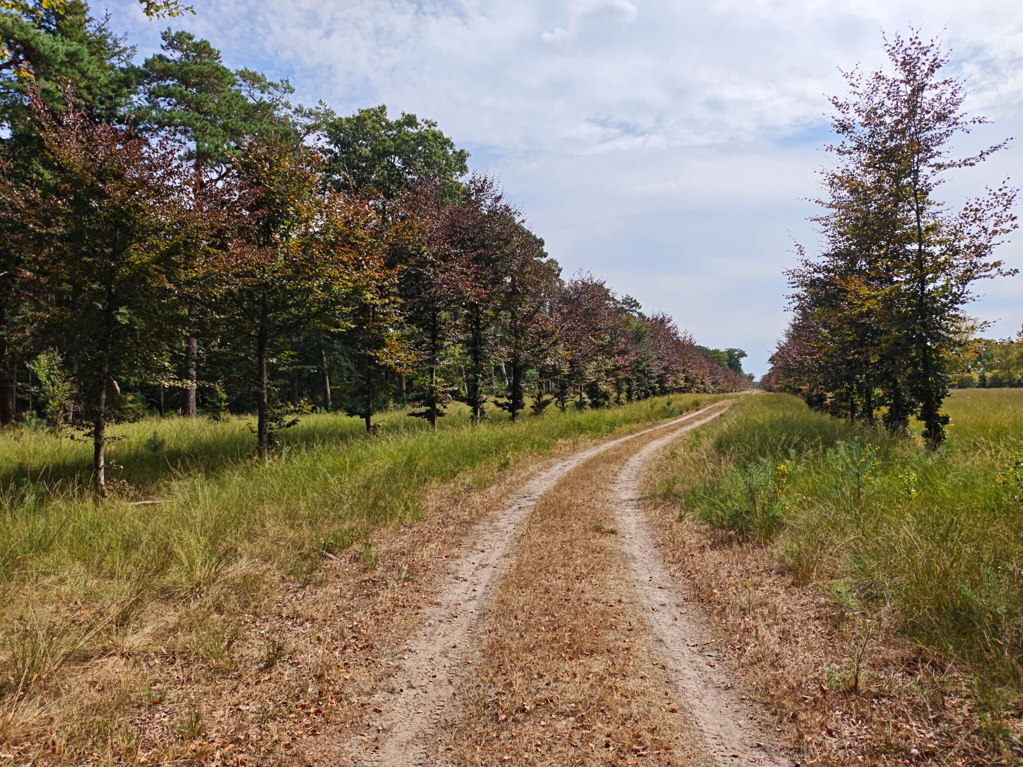 De Hoge Veluwe