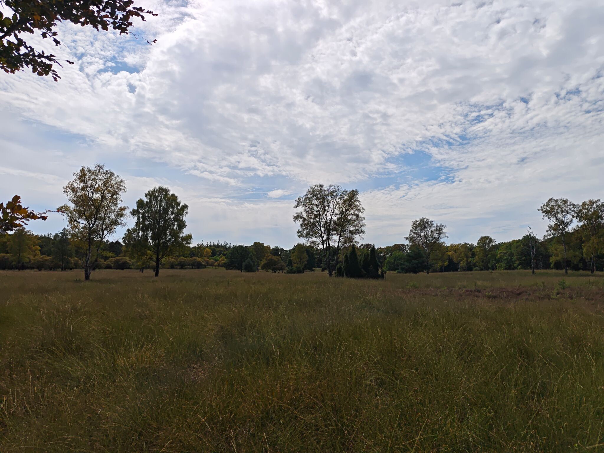 De Hoge Veluwe