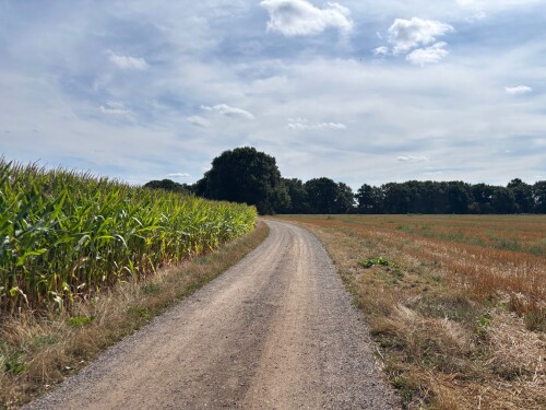 Klompenpaden