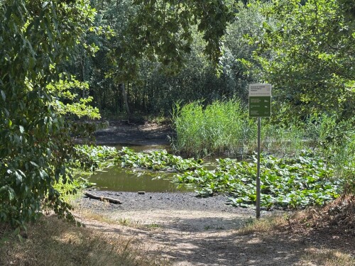 Klompenpaden