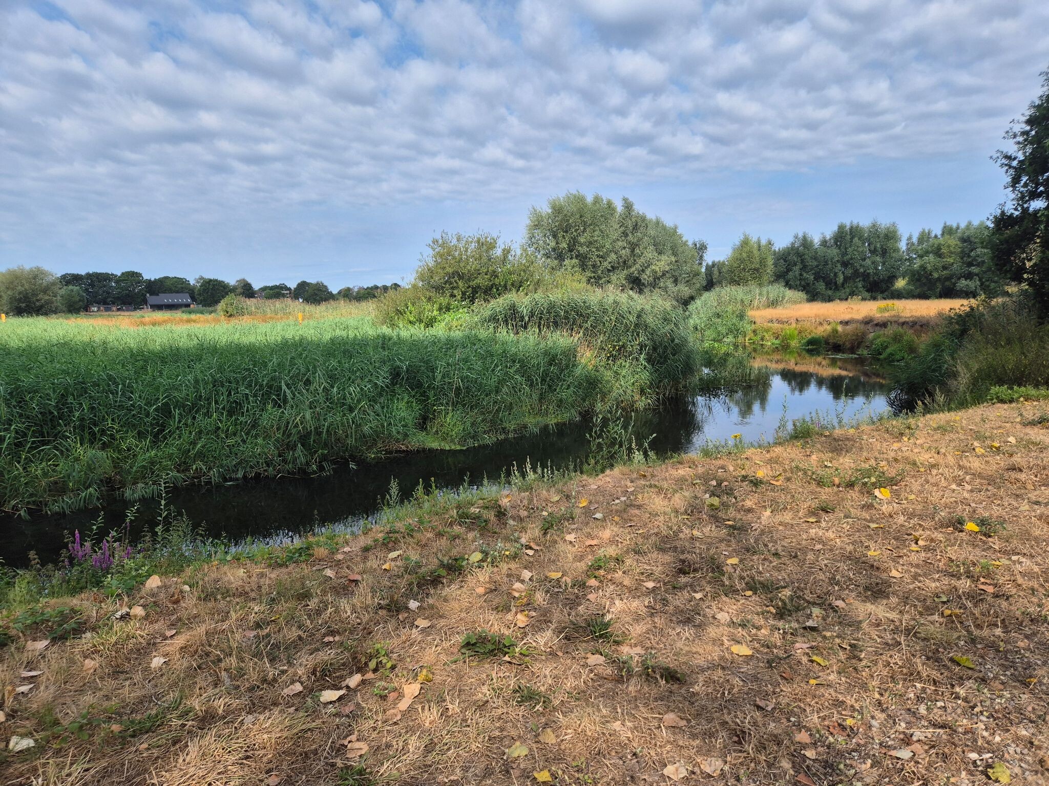North Brabant
