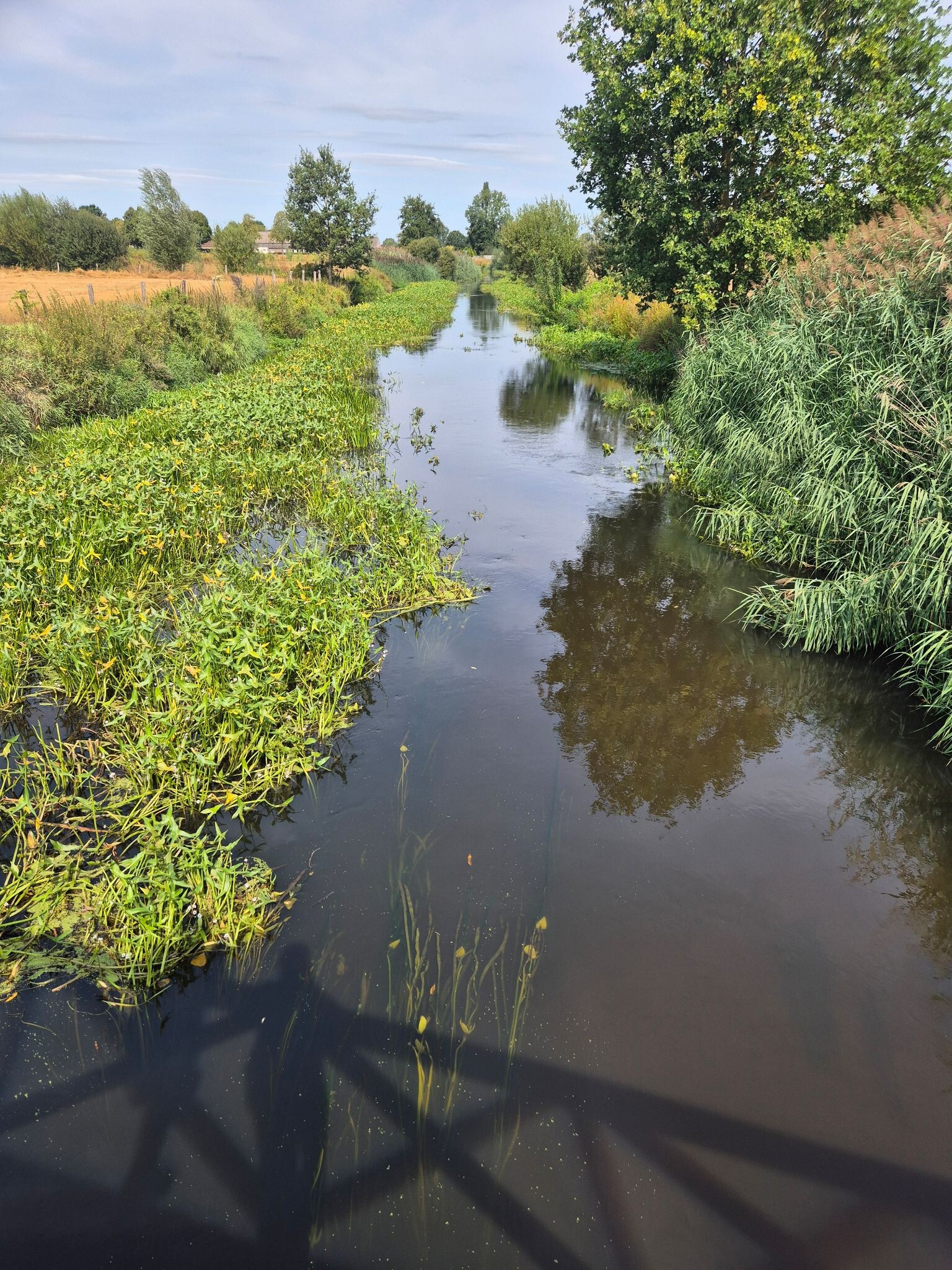 North Brabant