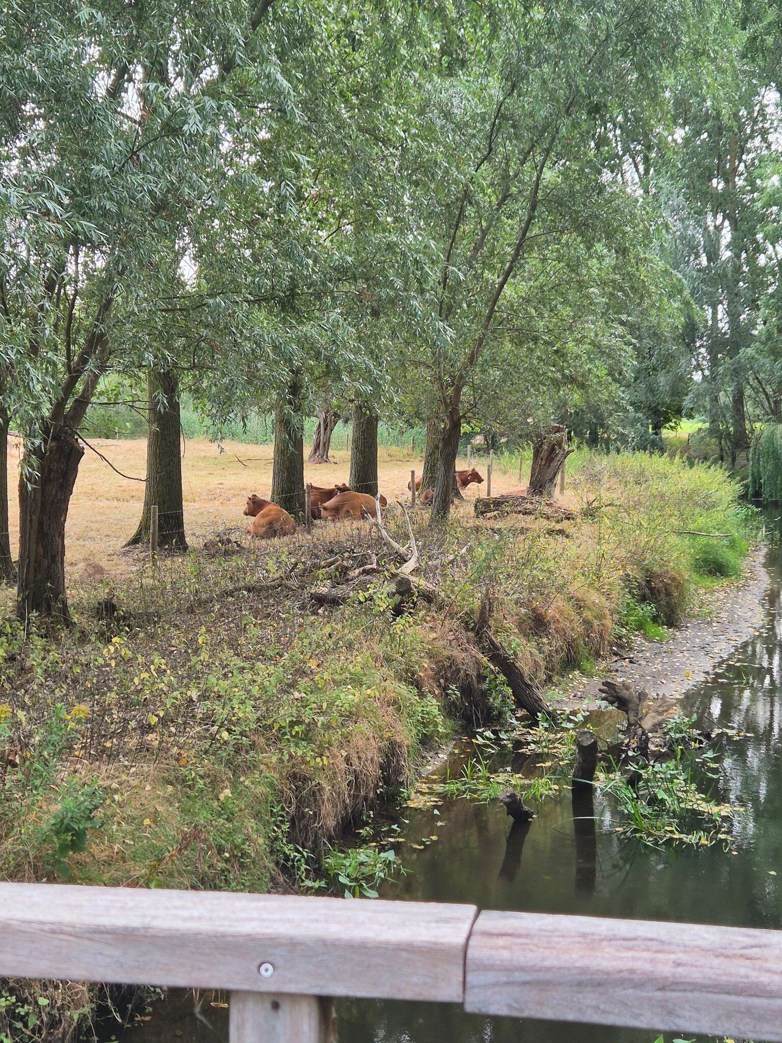 North Brabant