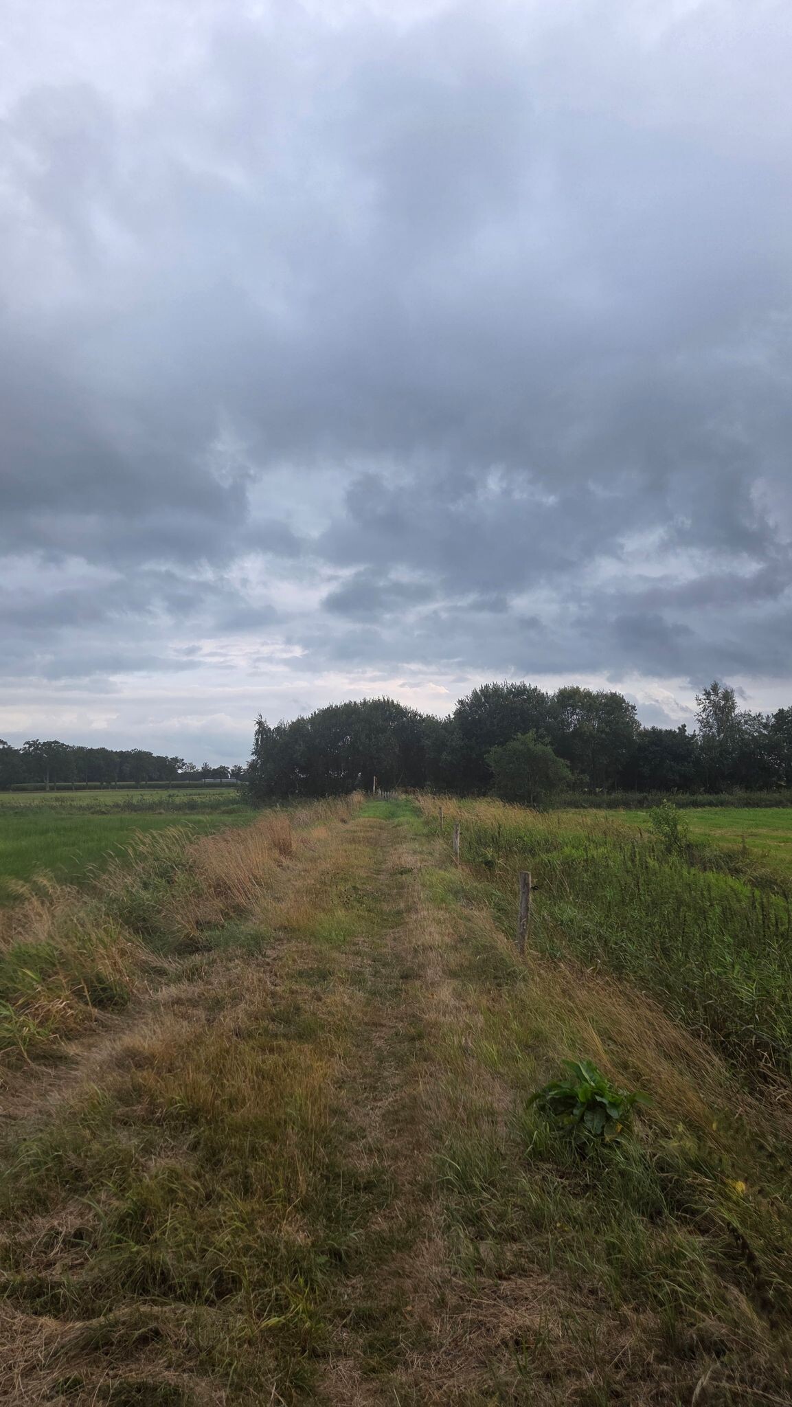 Etappe 1 Cultuurpad Coevorden