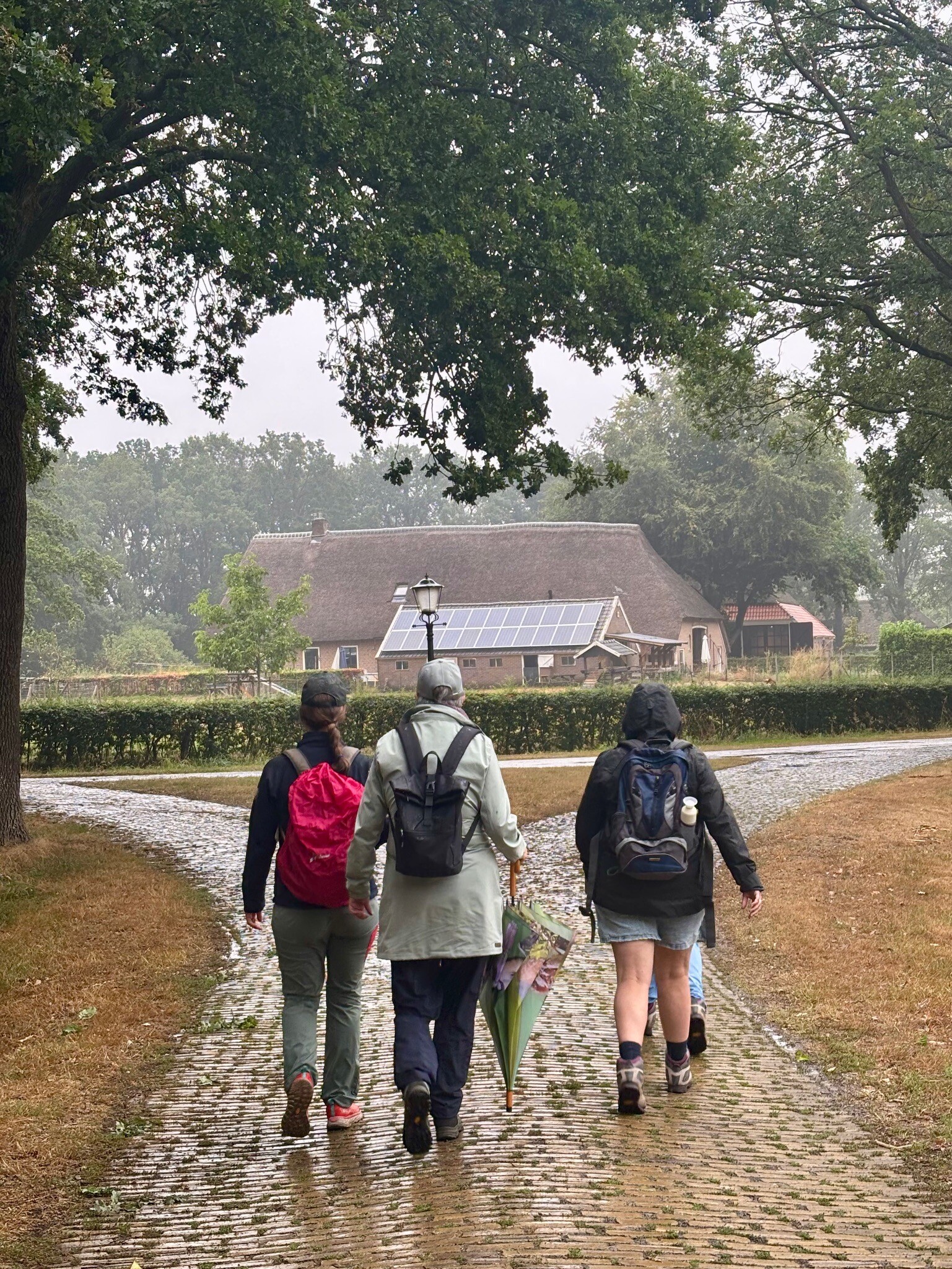 Zwinderen - Geesbrug · Cultuurpad Coevorden etappe 1