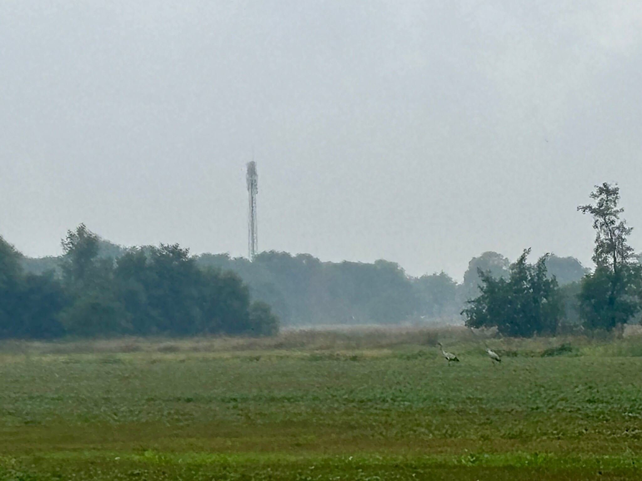 Zwinderen - Geesbrug · Cultuurpad Coevorden etappe 1