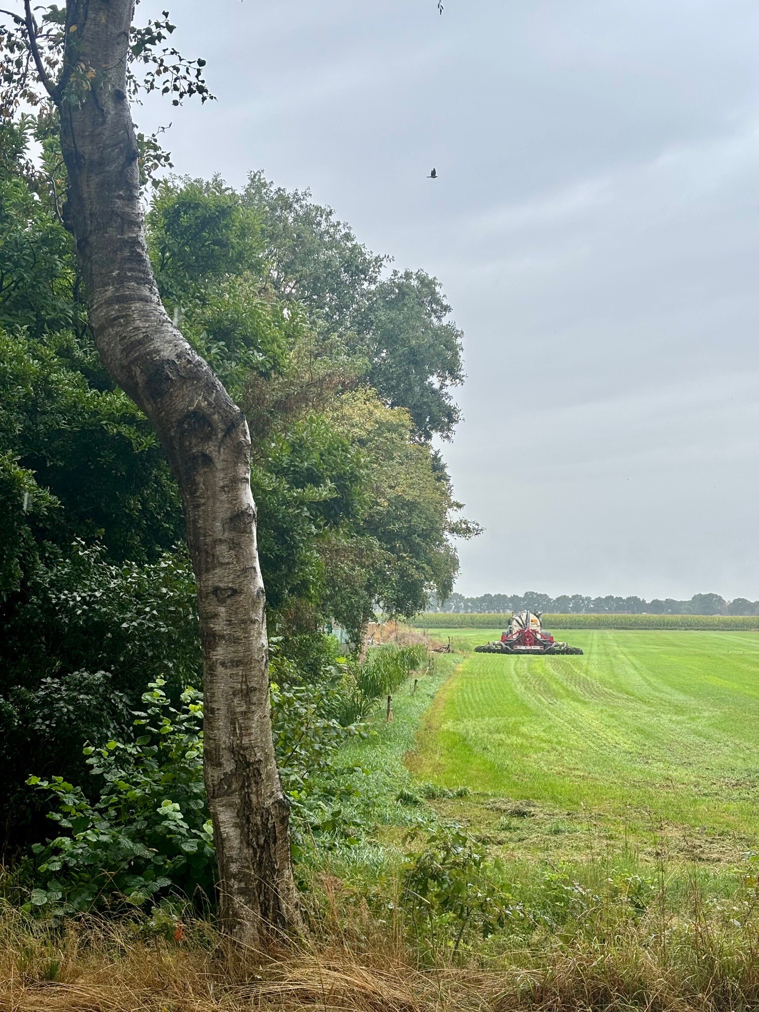 Drenthe