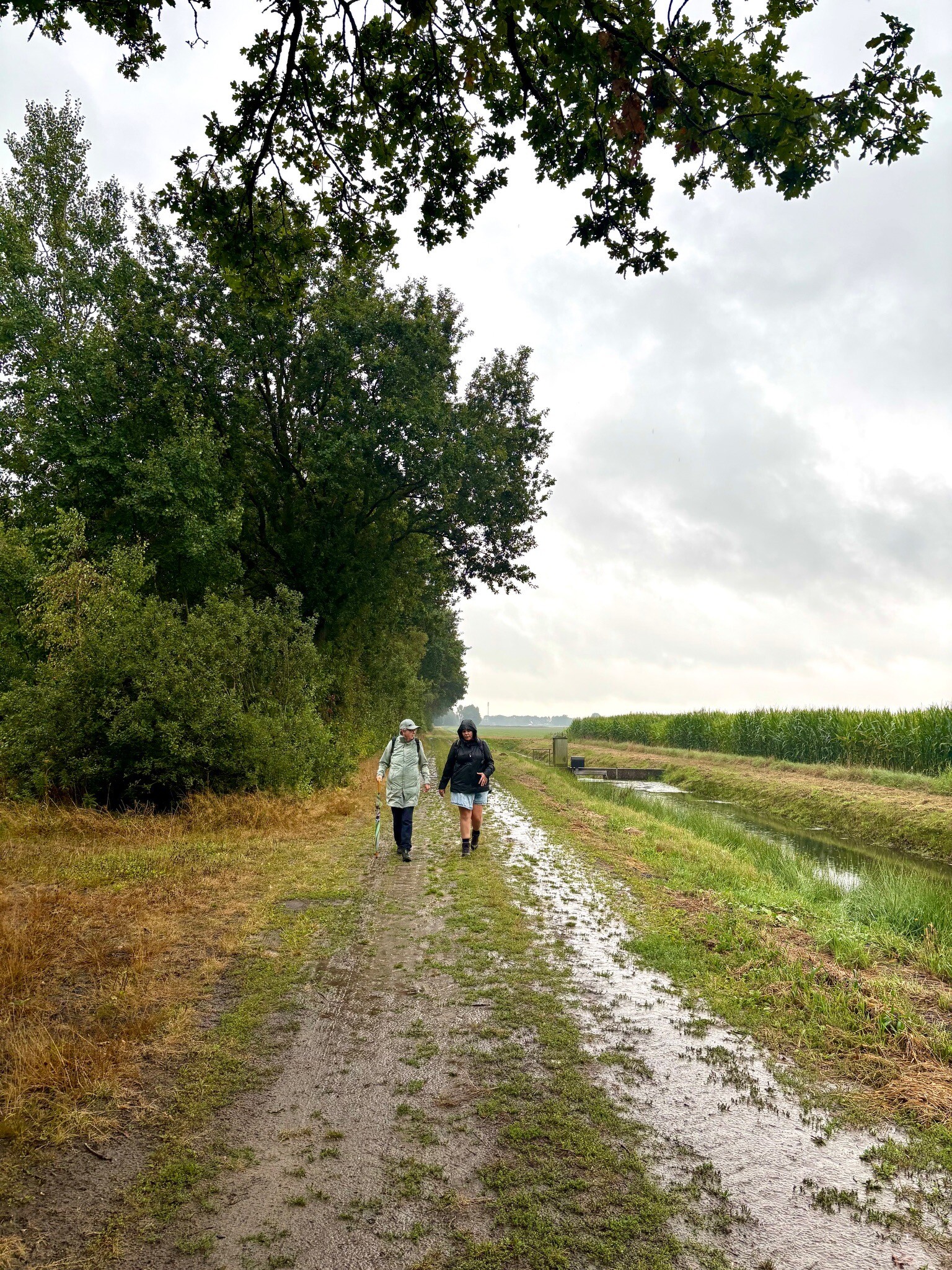 Zwinderen - Geesbrug · Cultuurpad Coevorden etappe 1