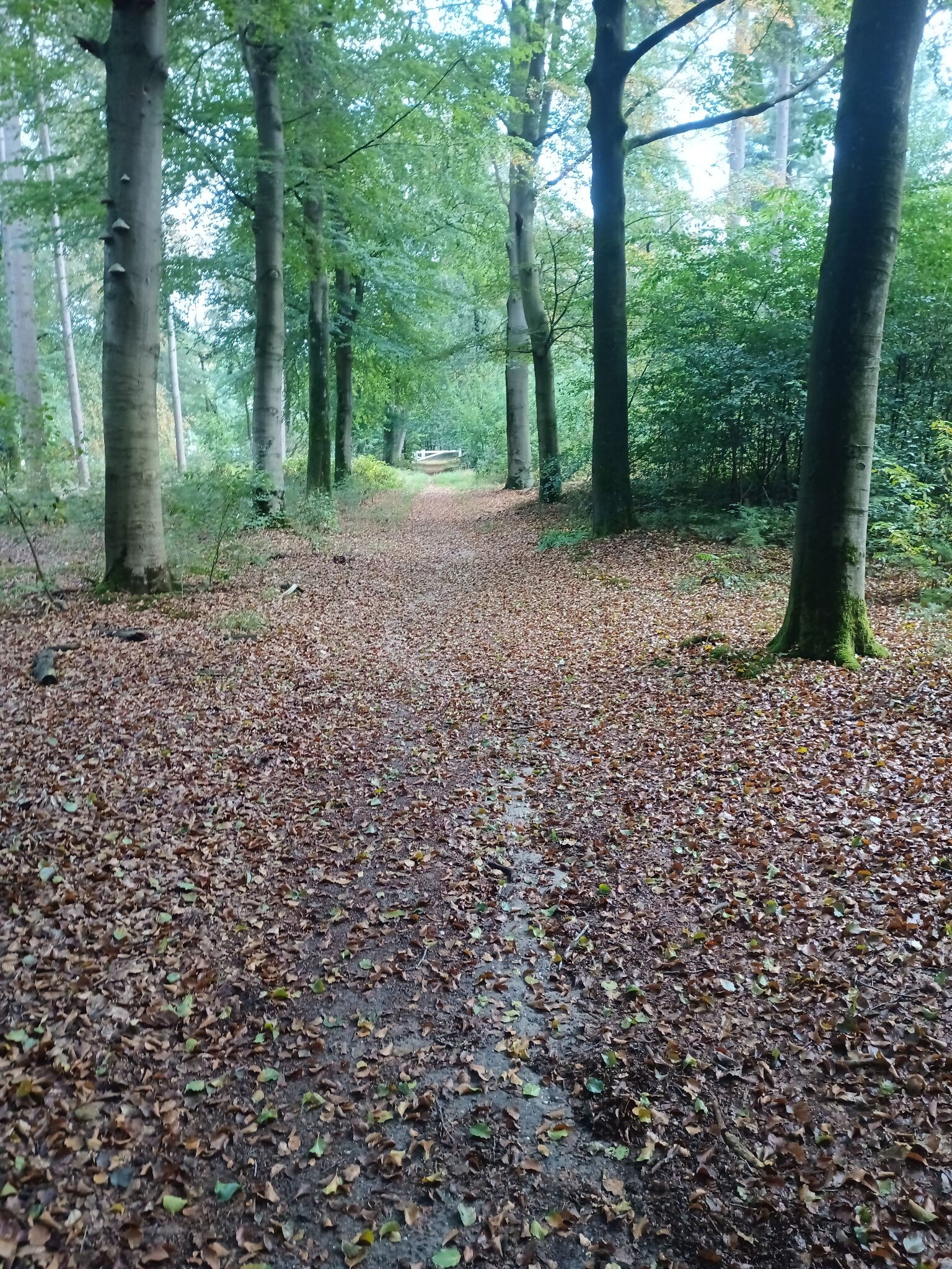 De Klomp - Veenendaal Prattenburg · Pad van de Vrijheid etappe 11