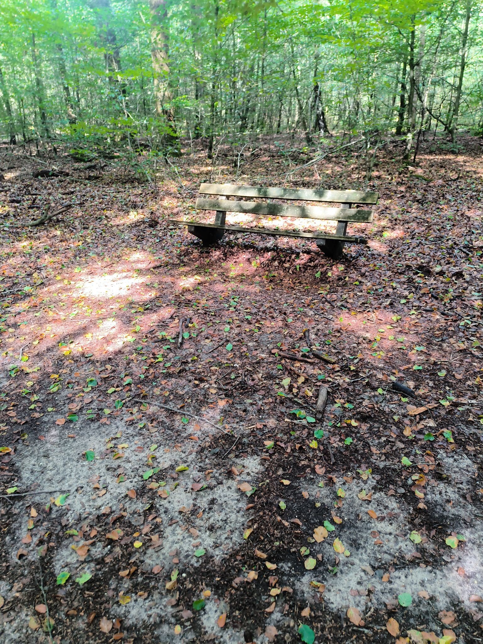 Wandelroute Peppelerboom