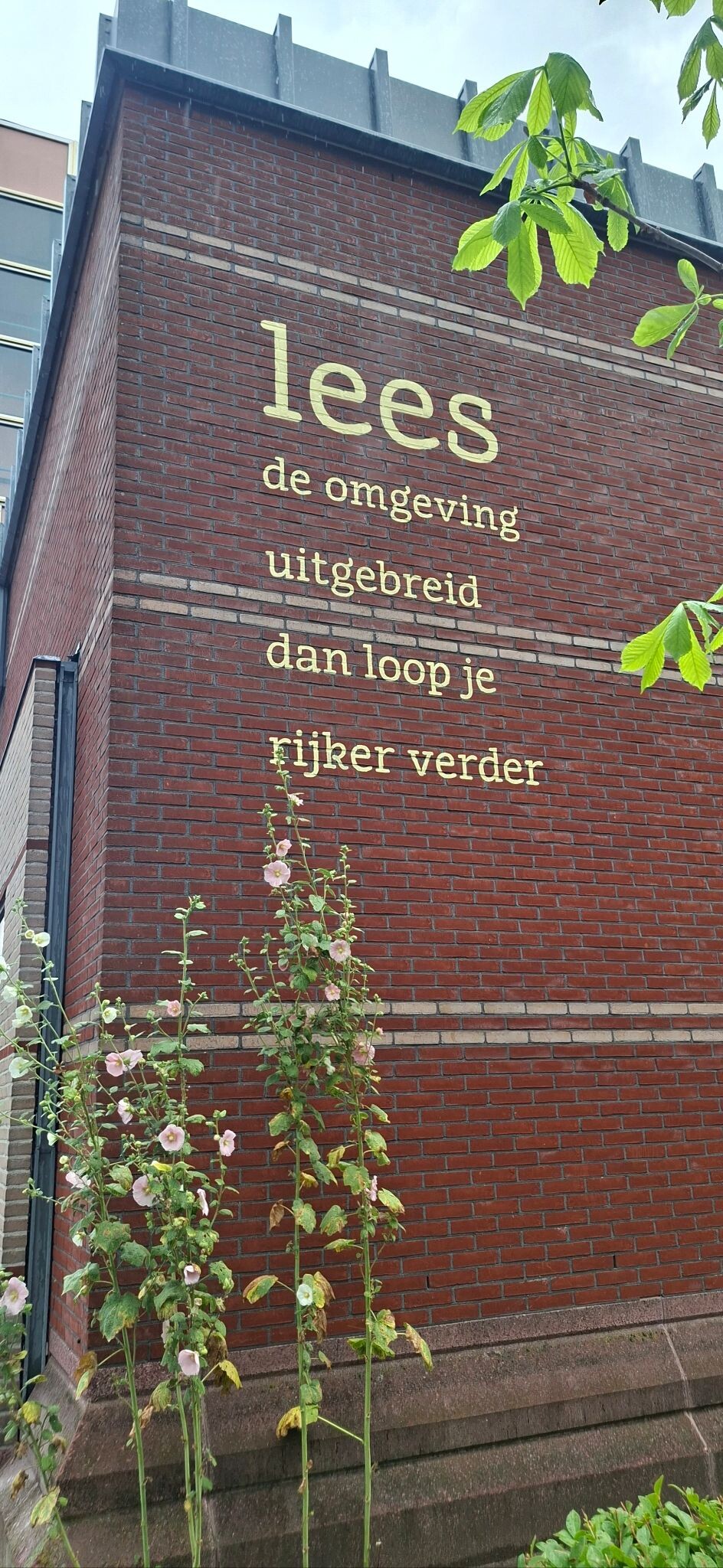 Foto van opname