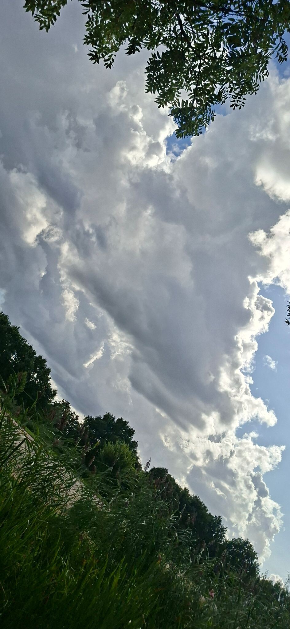 Foto van opname