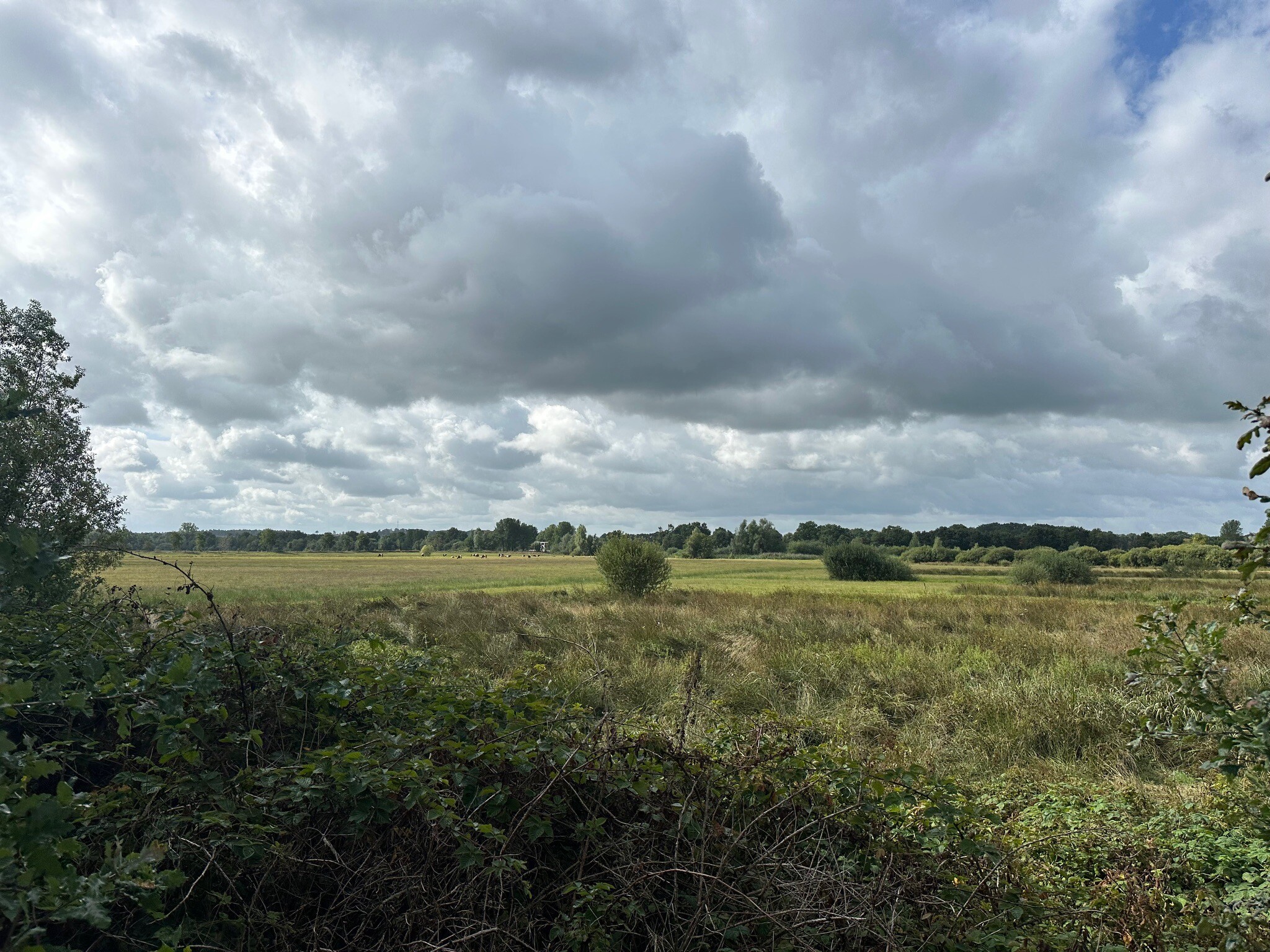 Foto van opname