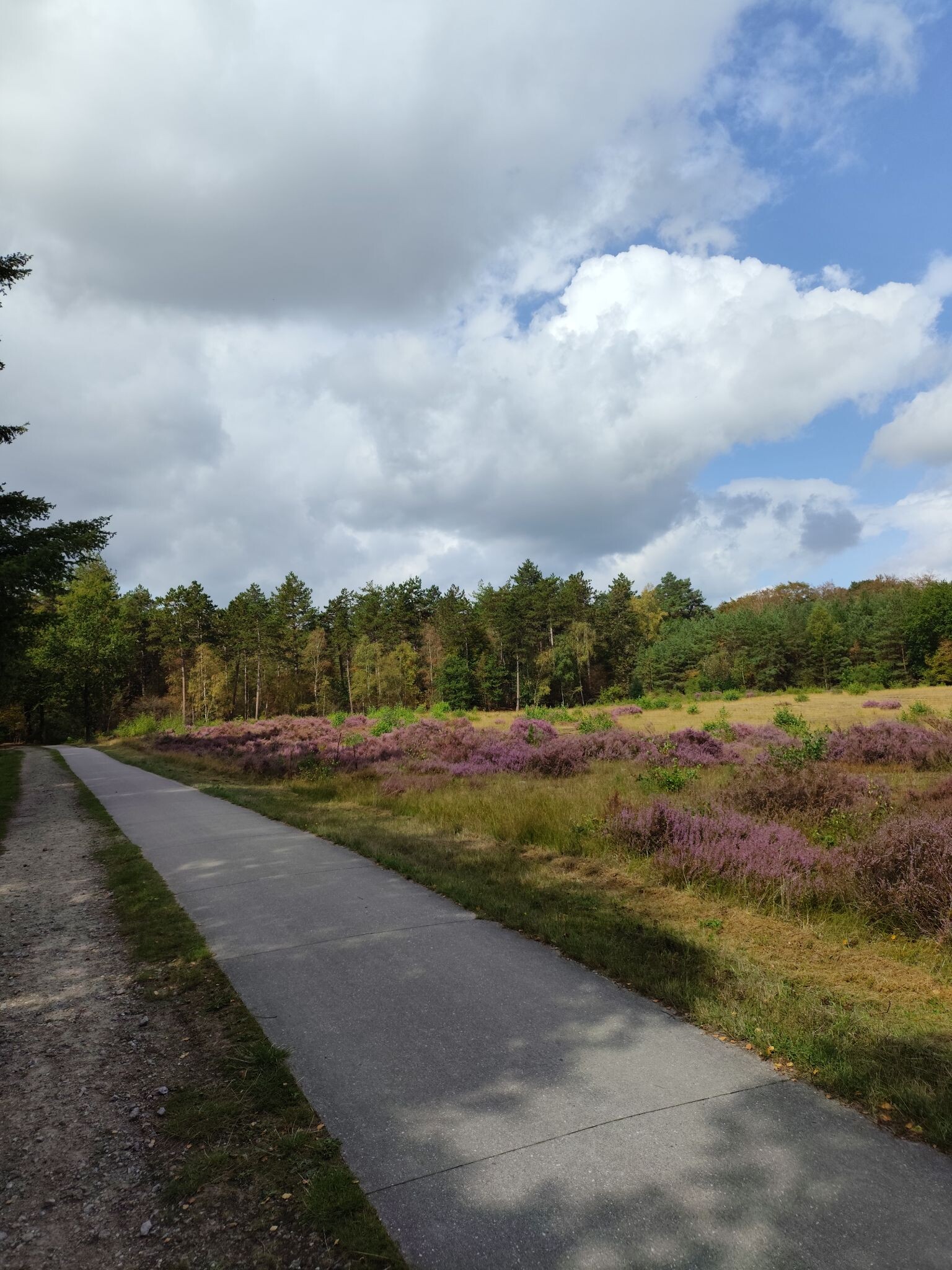 Soest