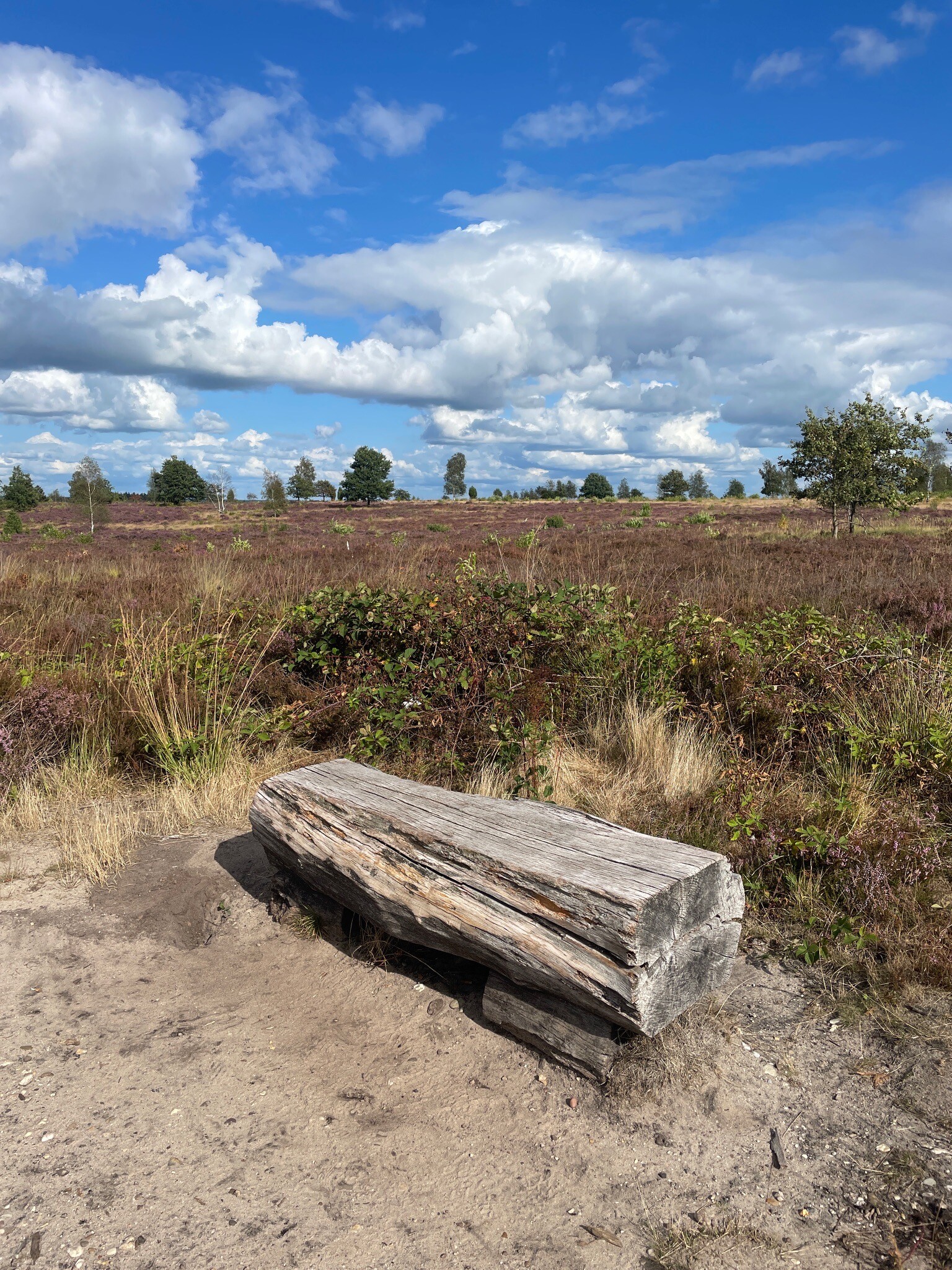 OV-Stapper Holterberg