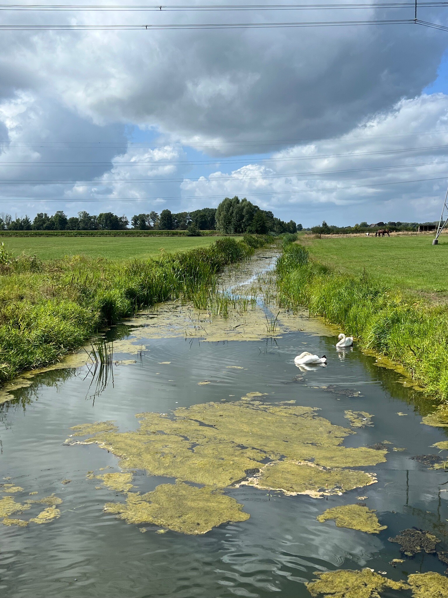 Zutphen