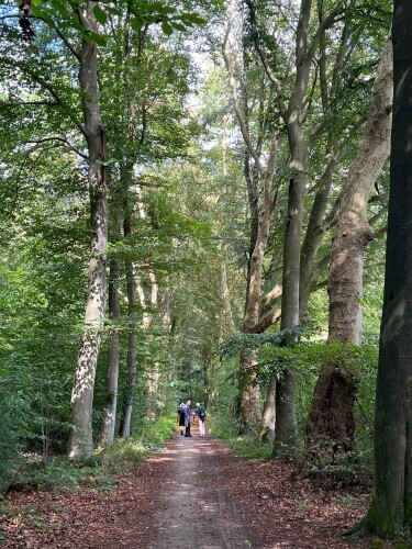 Trekvogelpad