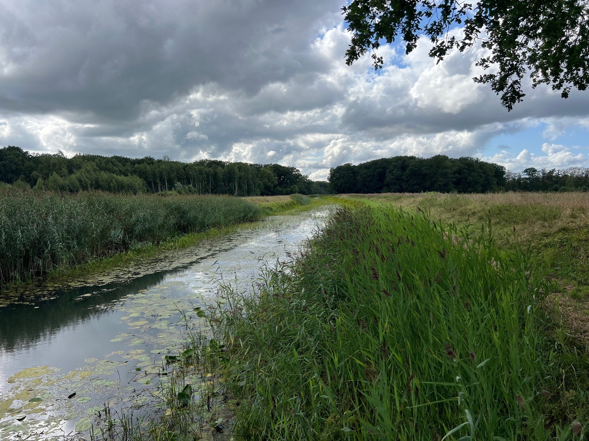 Eibergen