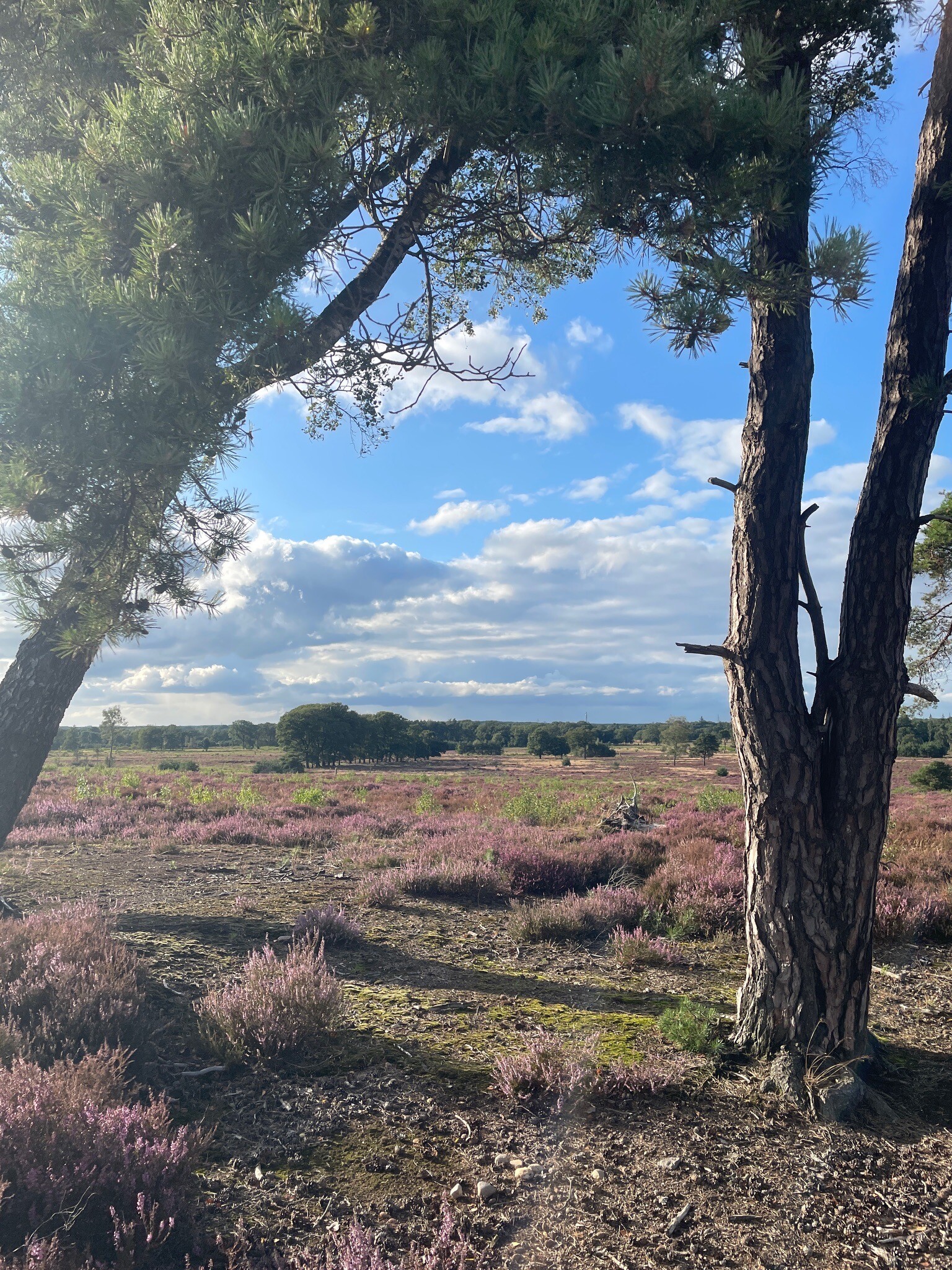 Nijverdal