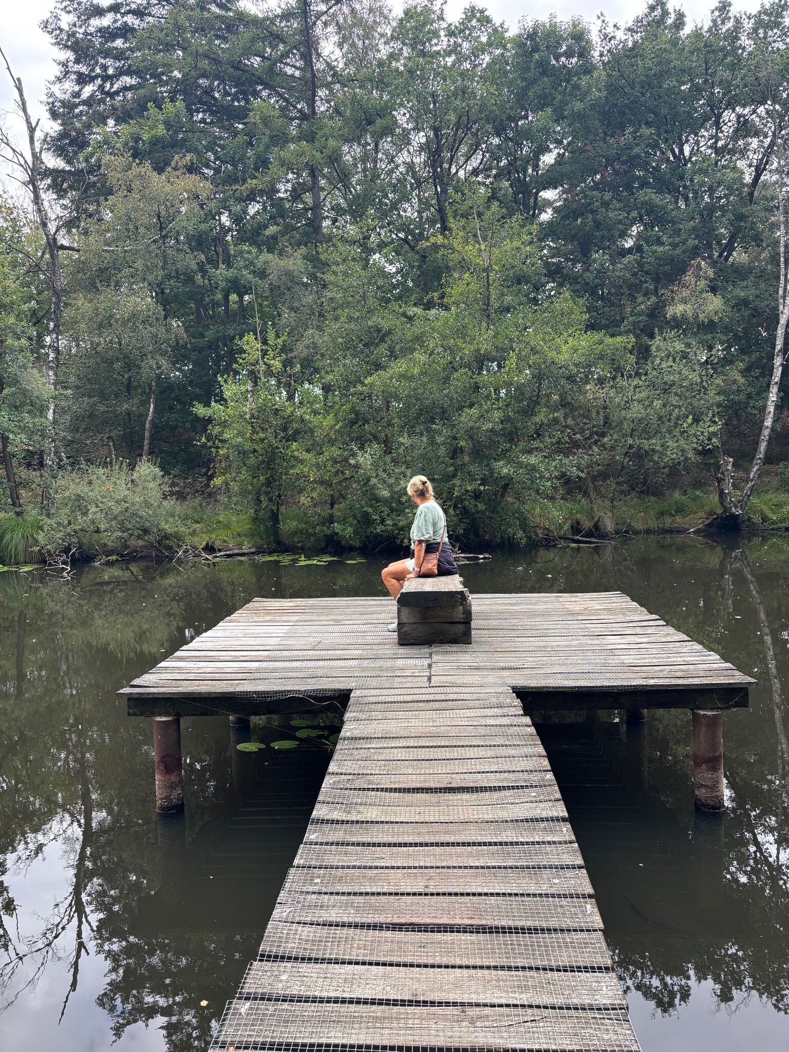 Wandelroute Schuitwater Moerasbos