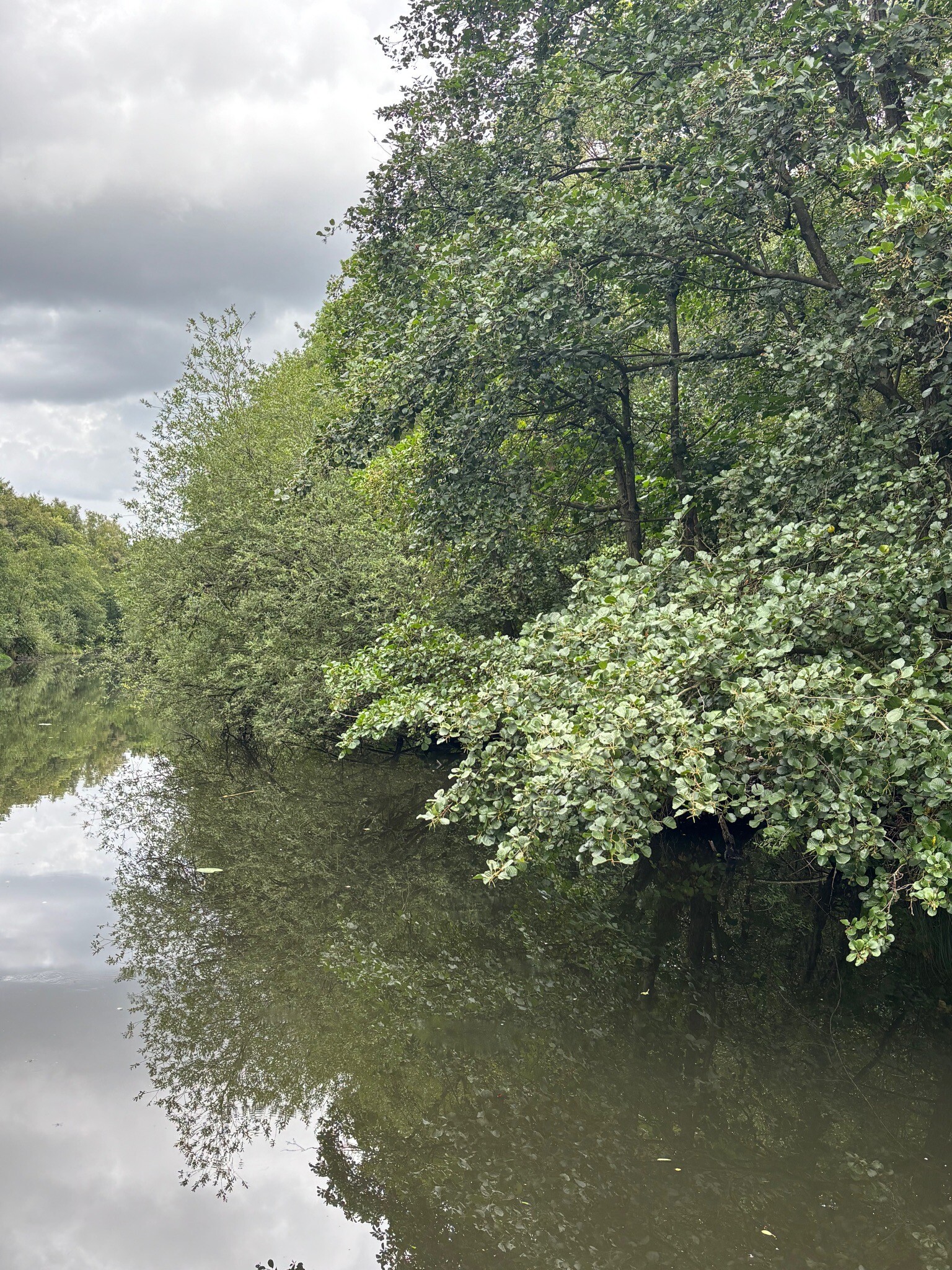Wandelroute Schuitwater Moerasbos