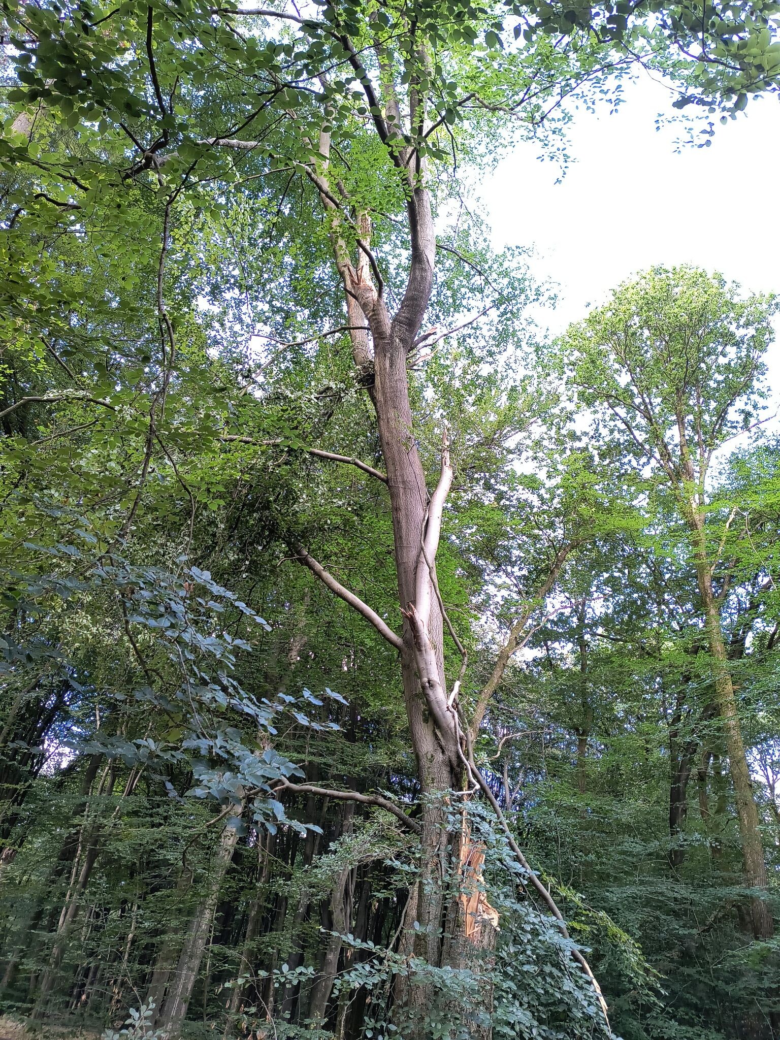 Foto van opname