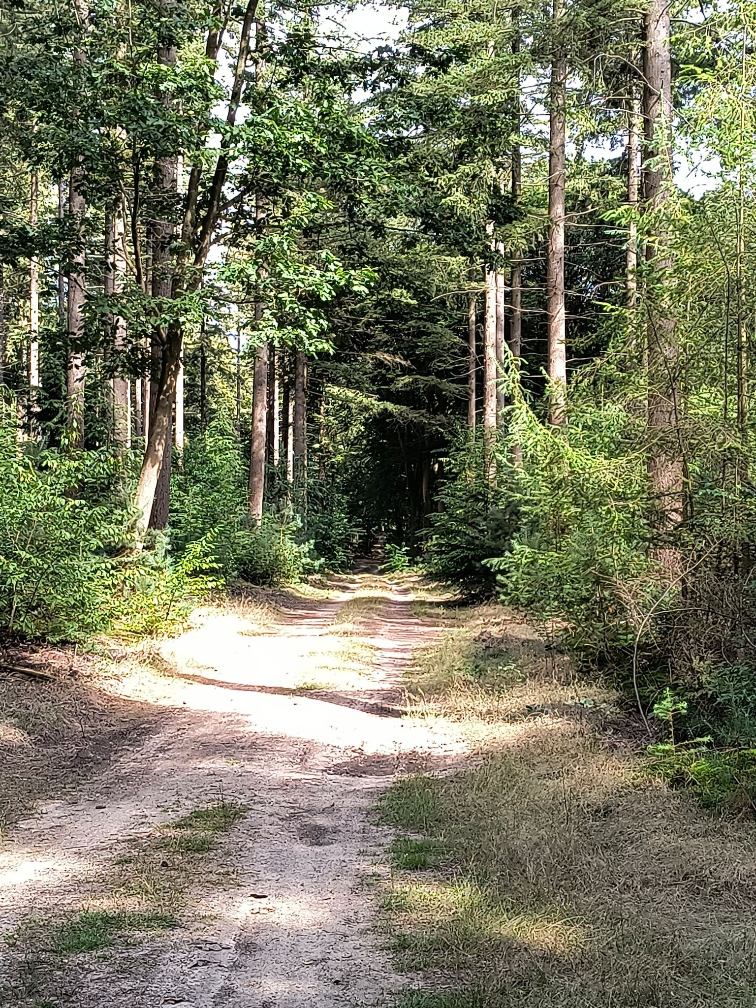 Garderen