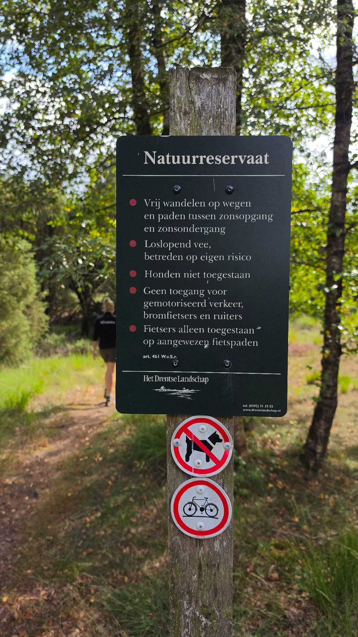 Meppen de Palmen, een kort mooi stukje