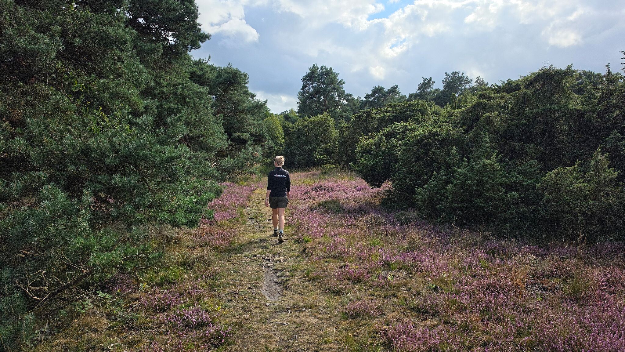 Meppen de Palmen, een kort mooi stukje