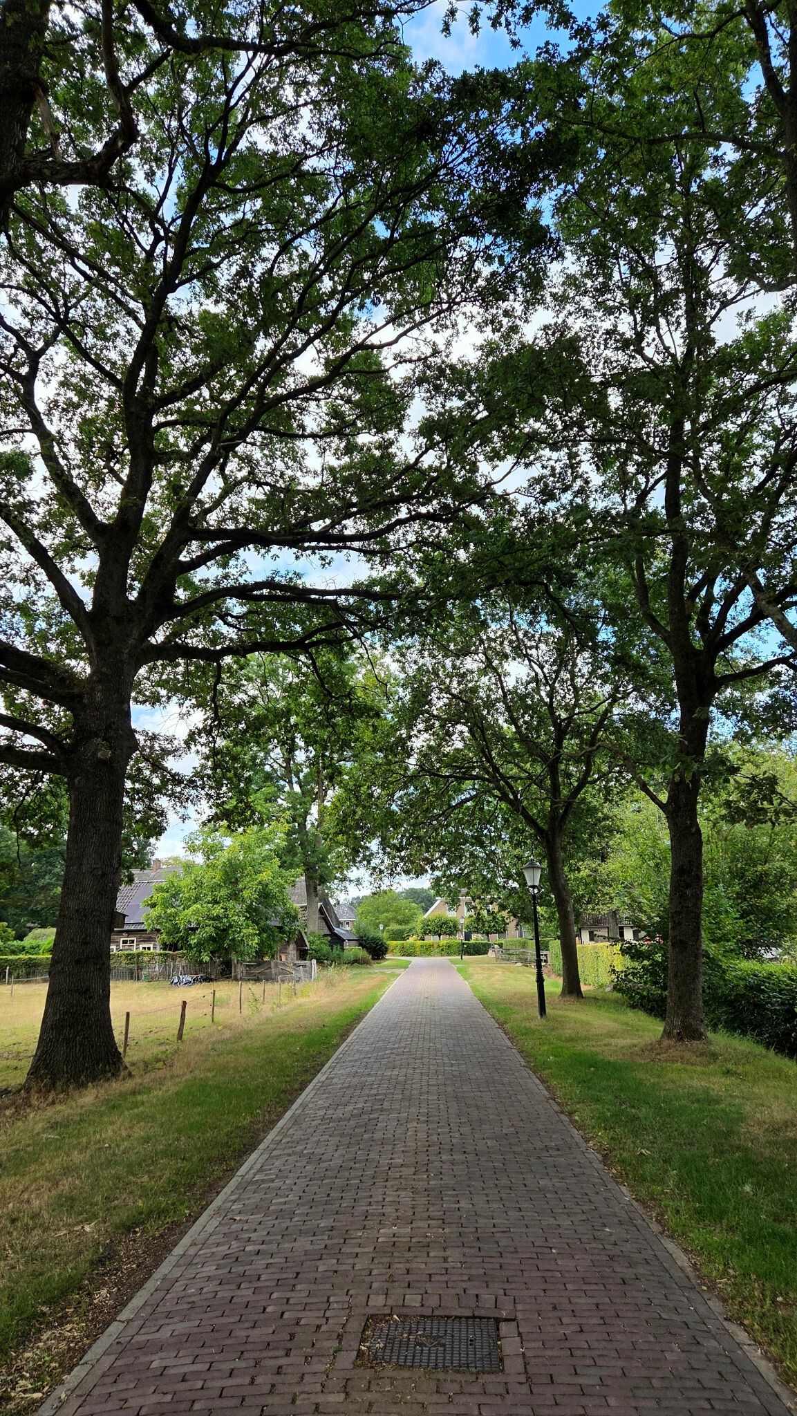 Foto van opname