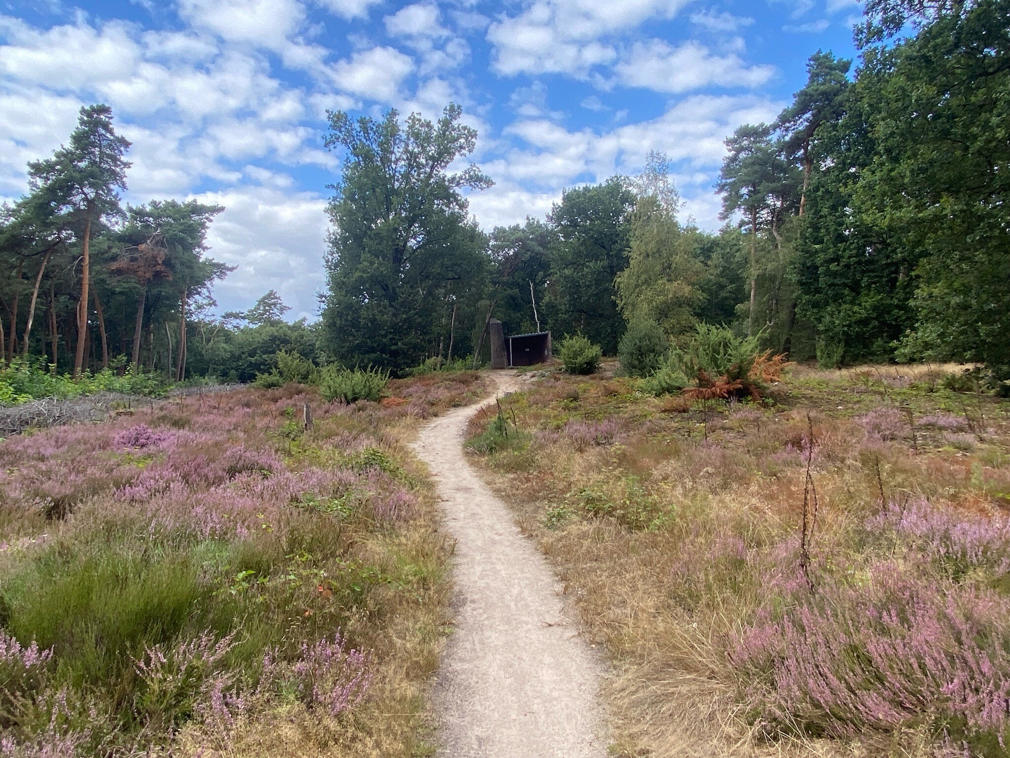 Gennep - Vierlingsbeek · Pieterpad etappe 19