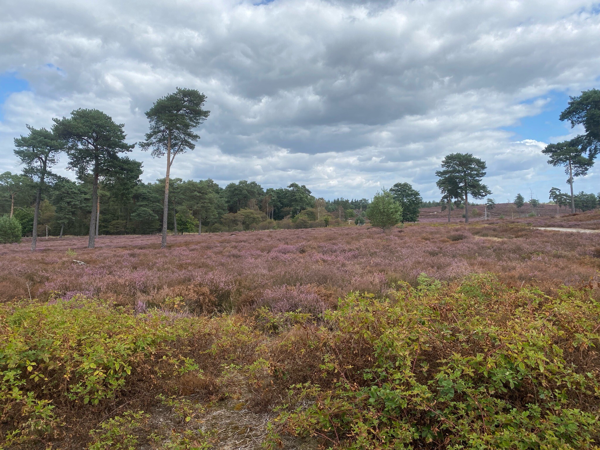 Gennep - Vierlingsbeek · Pieterpad etappe 19
