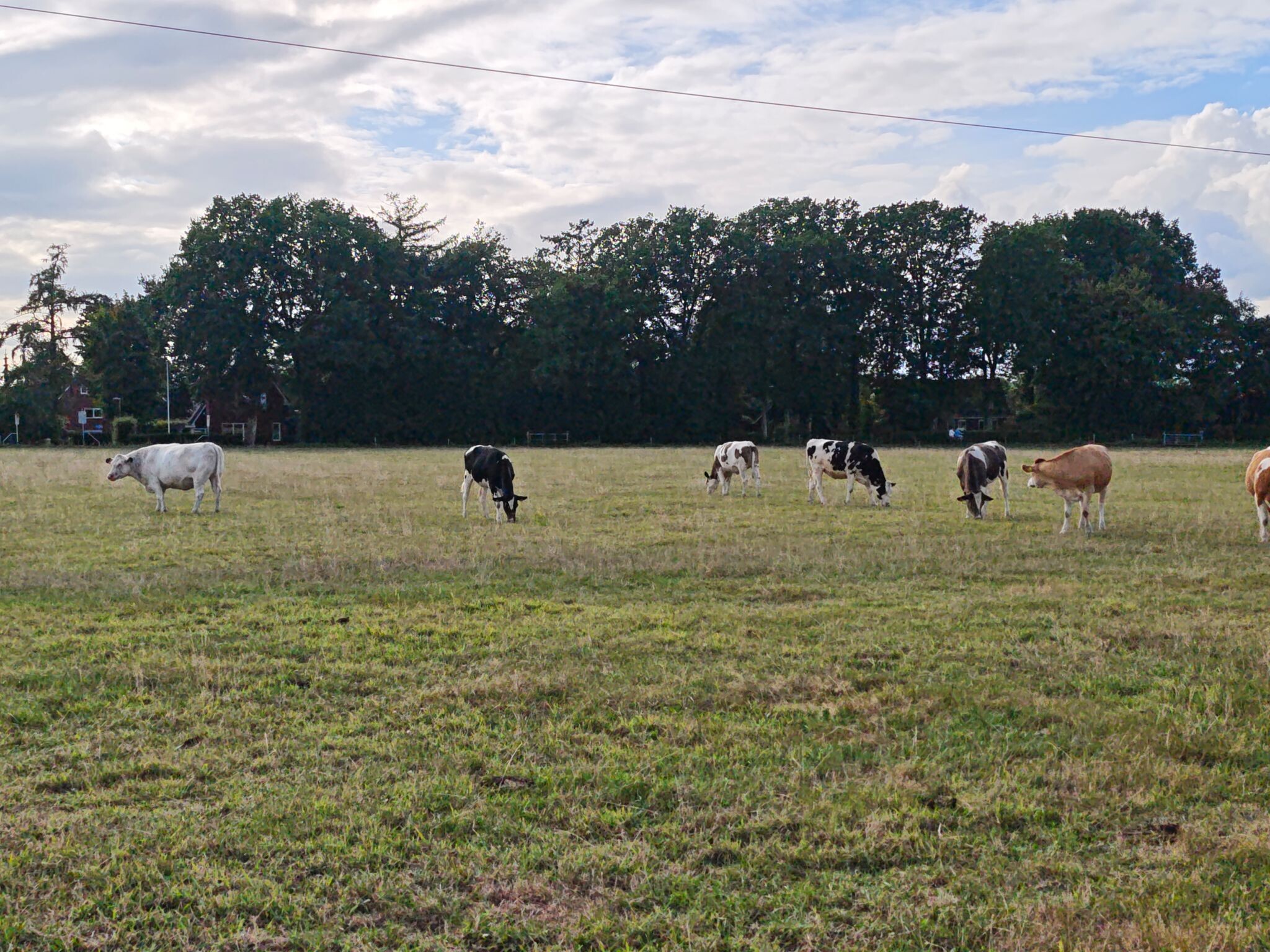 Bekbergerpad Beekbergen