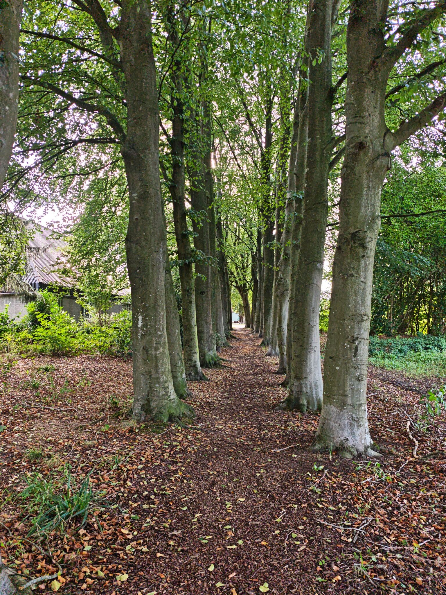 Bekbergerpad Beekbergen