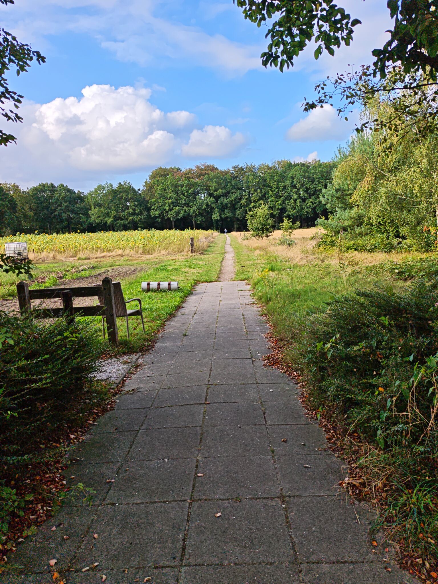 Bekbergerpad Beekbergen