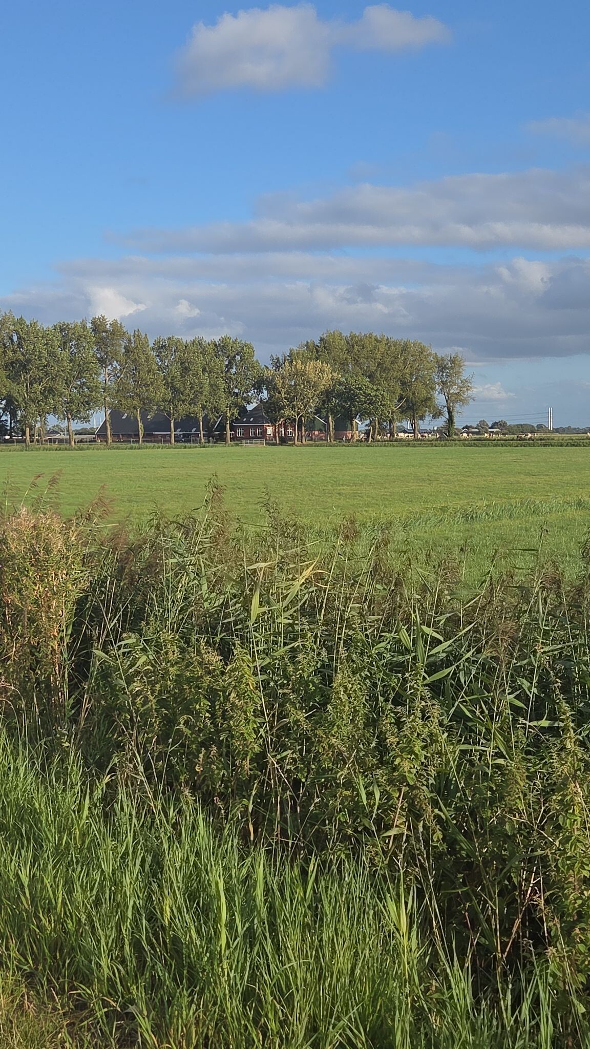 Bedum zaterdag 11 april