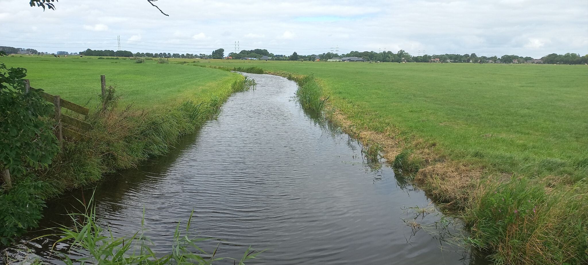 Winsum