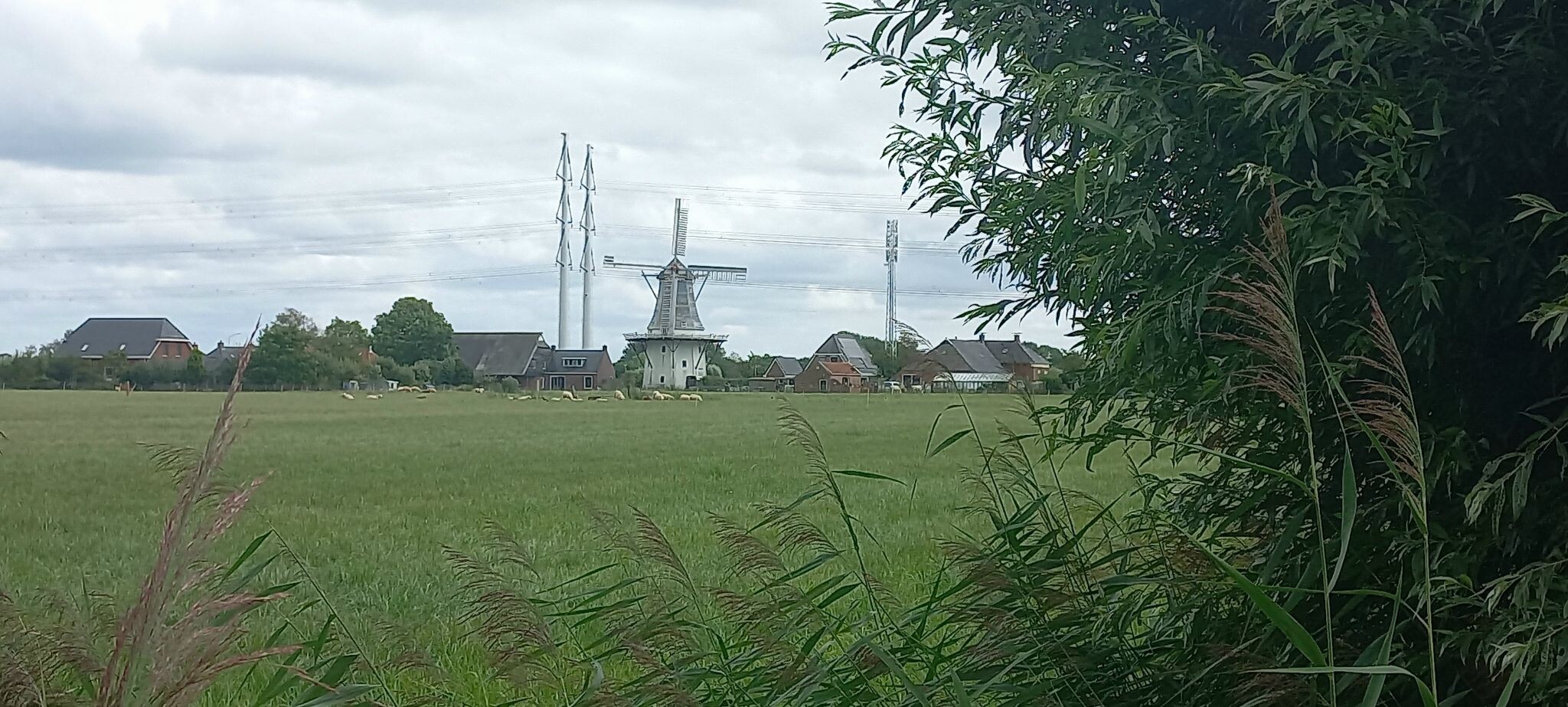 Winsum