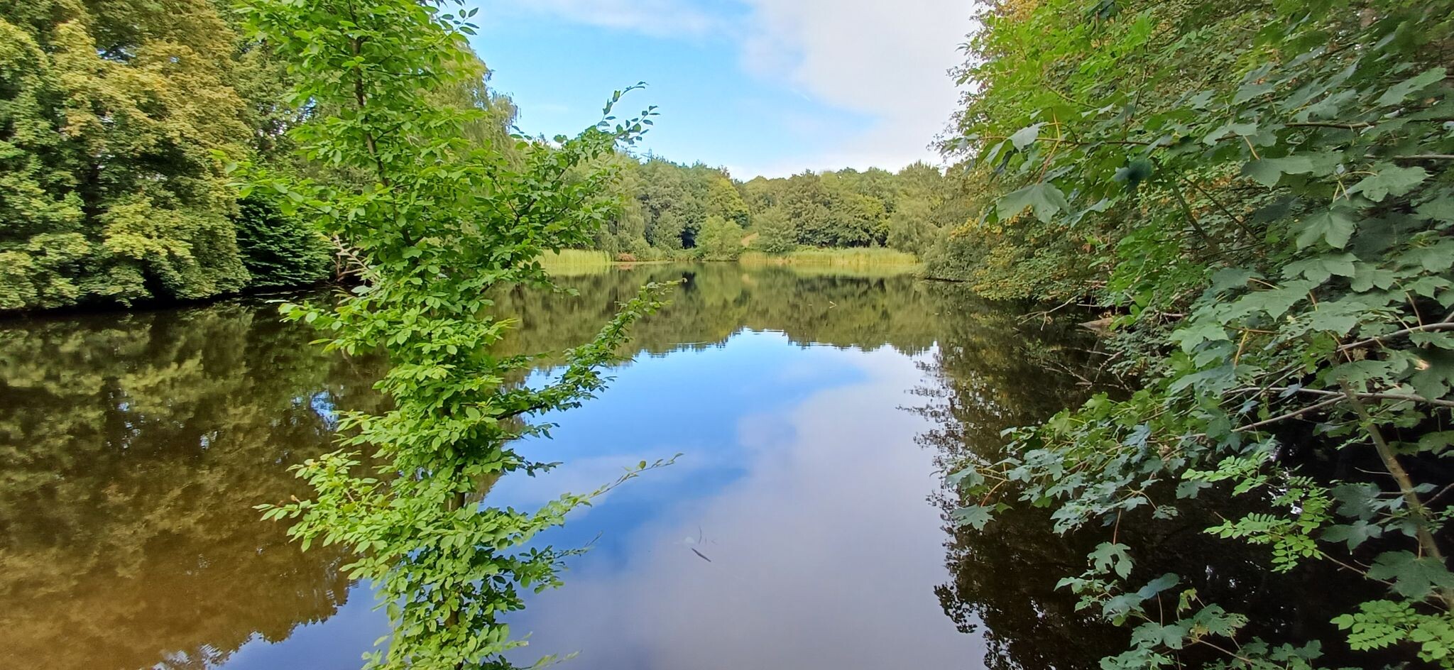Luttelgeest