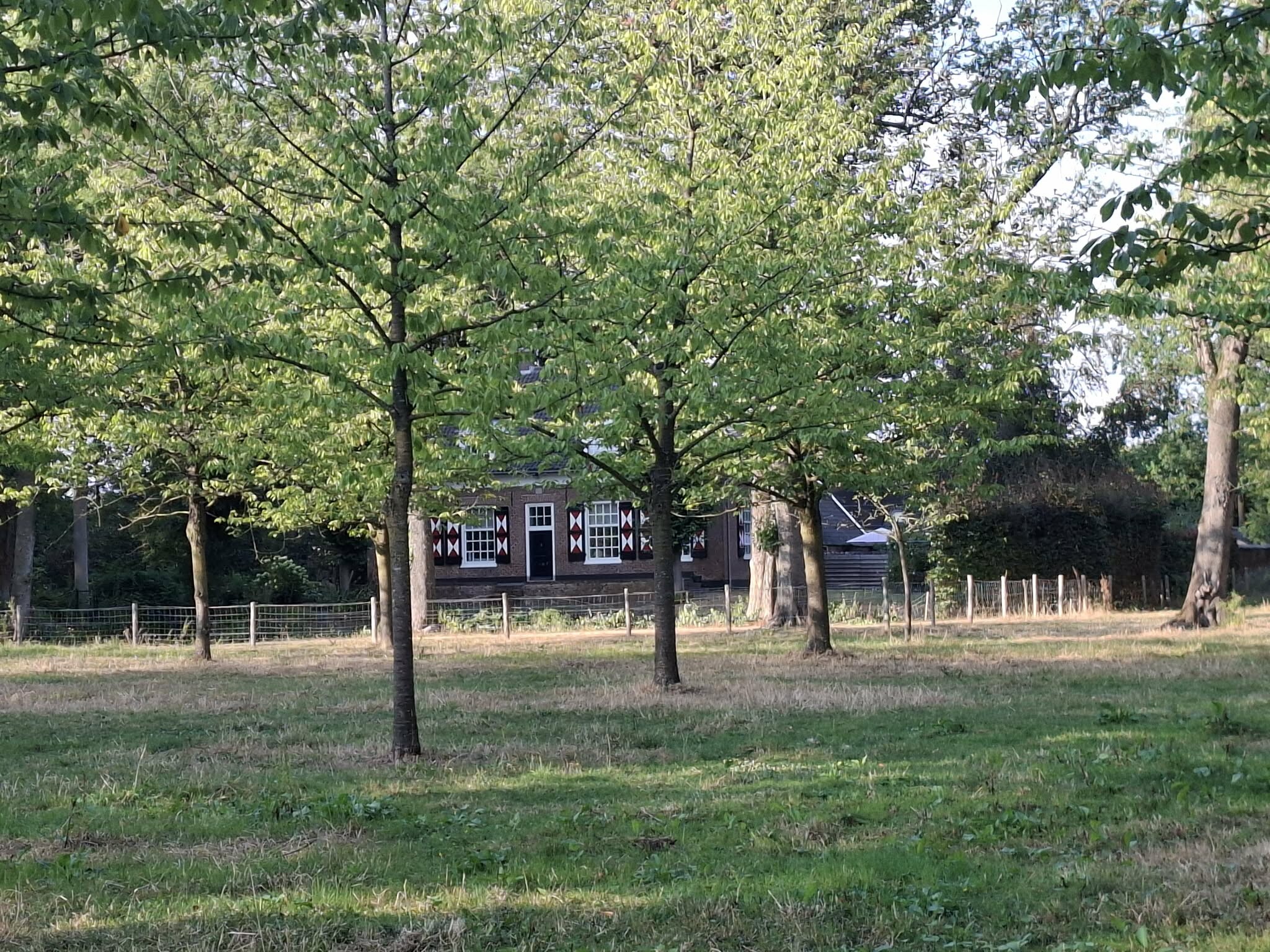 Zoelen