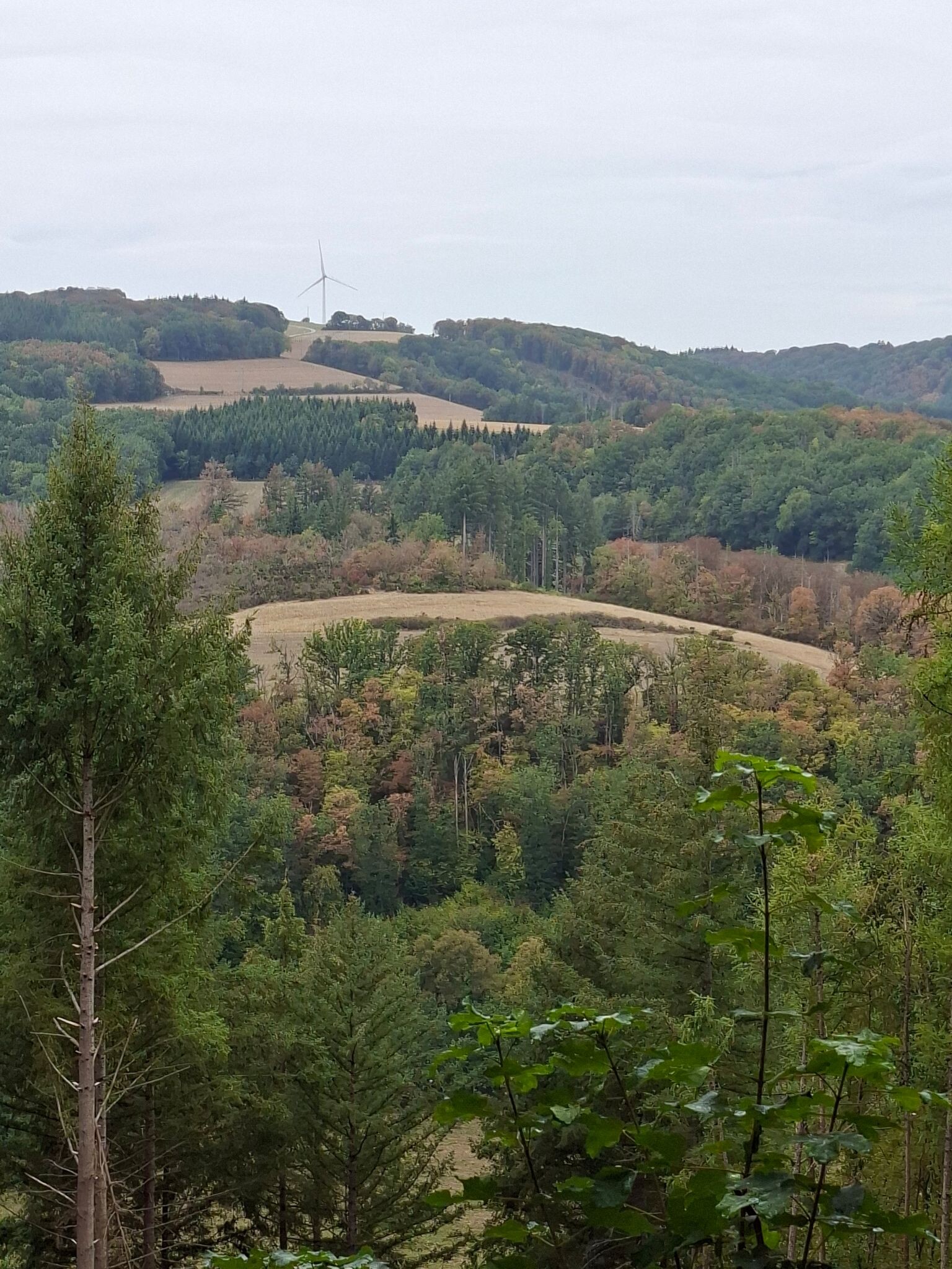 Luxemburg